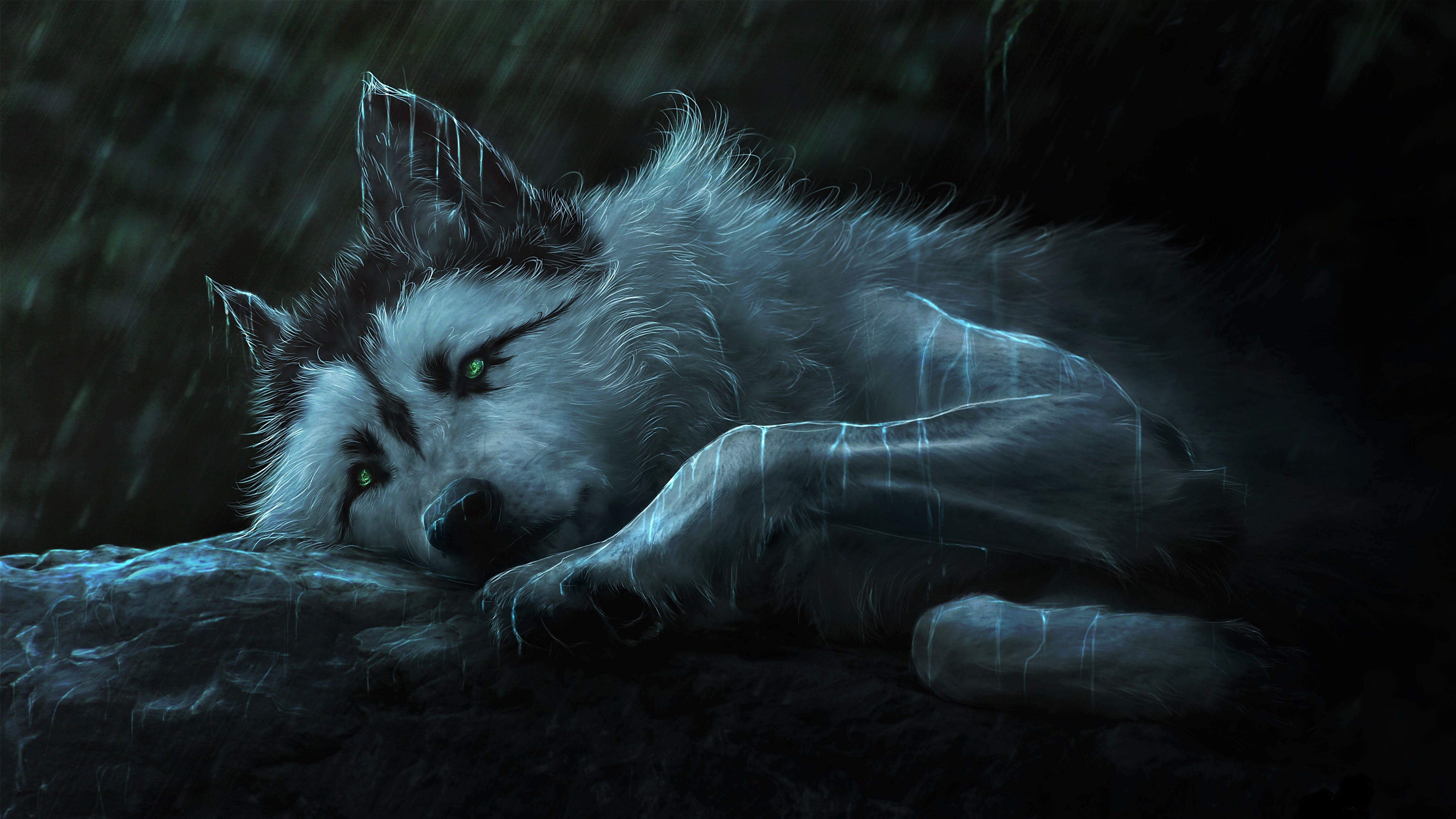 8K Ultra HD Wolf Wallpapers - Top Free 8K Ultra HD Wolf Backgrounds ...