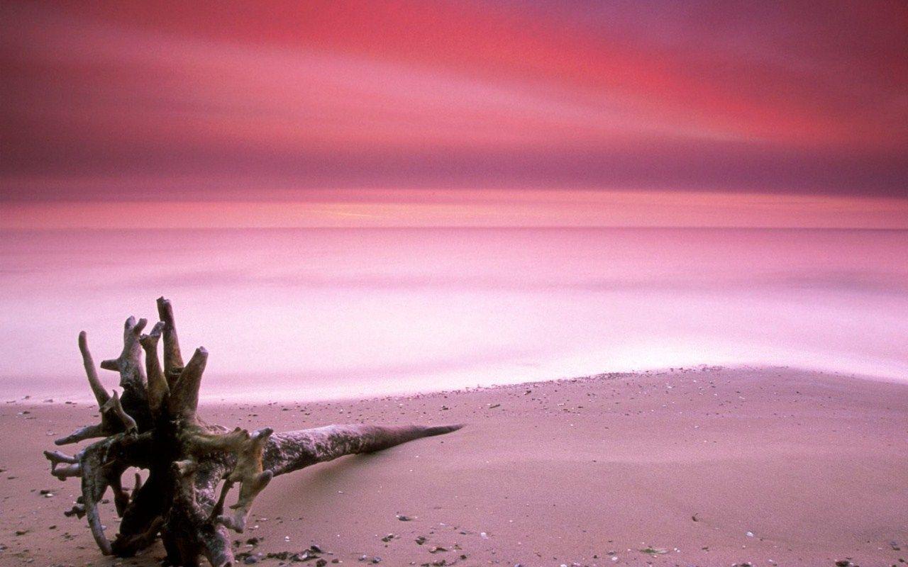 1280x800 Pink Sand Beaches. Pink sand beach bahamas, Pink sand beach, Pink sand beach bermuda