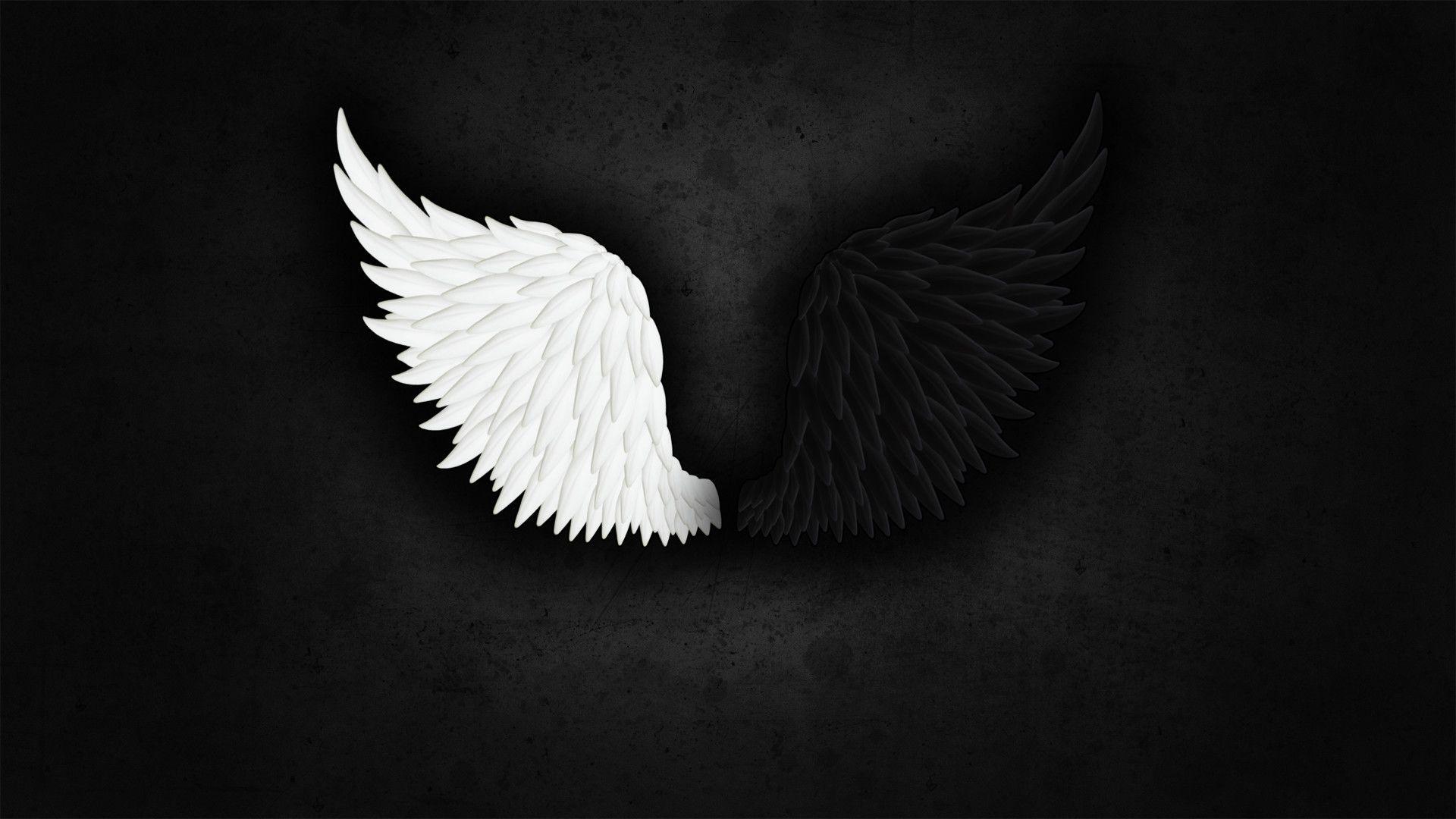 Black Angel Wings Wallpapers - Top Free Black Angel Wings Backgrounds