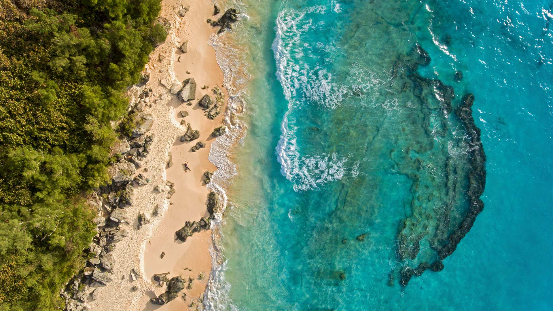 1920x1080 Bing image: It s Bermuda s big day Wallpaper Gallery