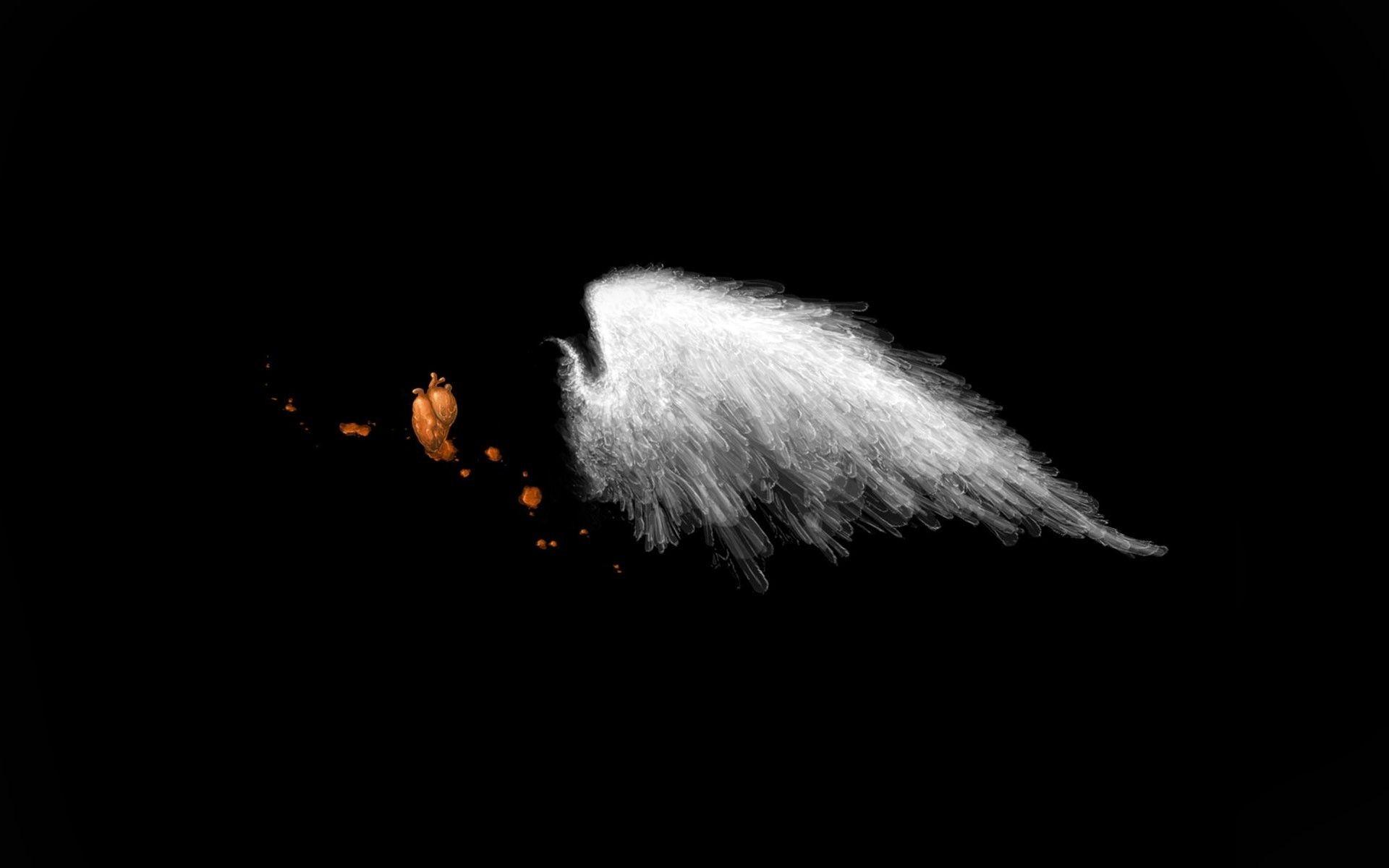 1920x1200 Angel Wings Wallpaper. Wings wallpaper, White angel wings, Heart wallpaper