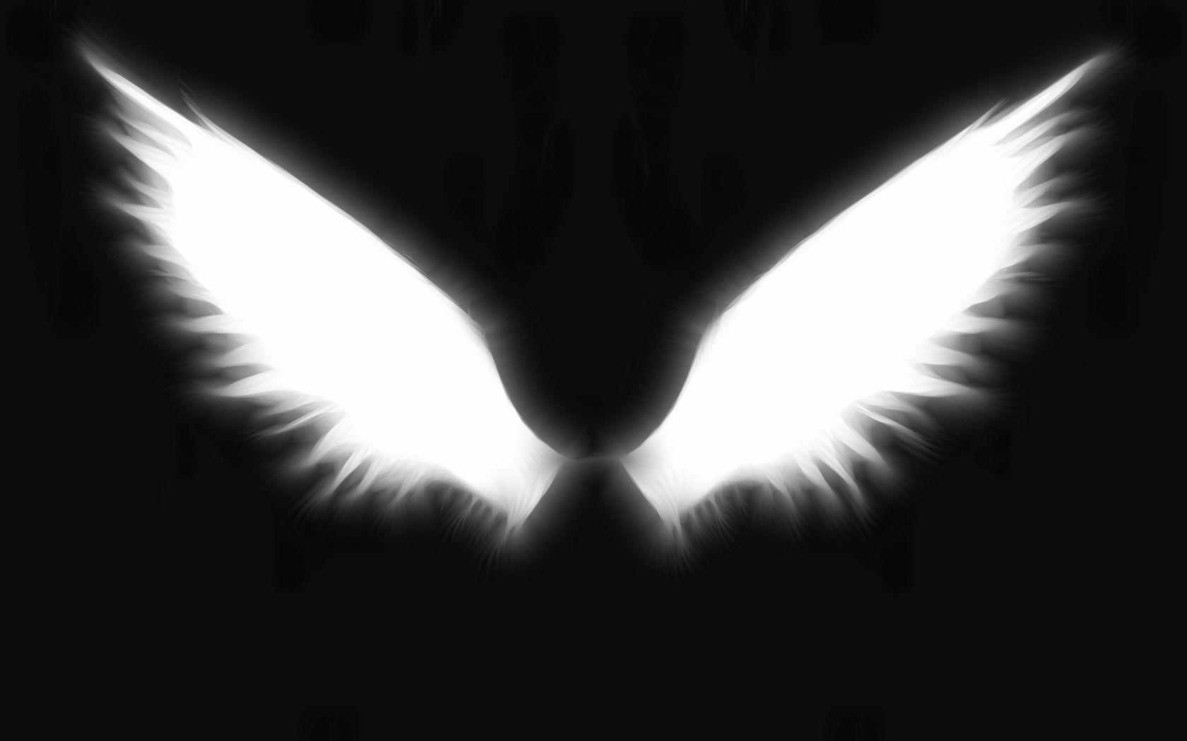 angel wings black background