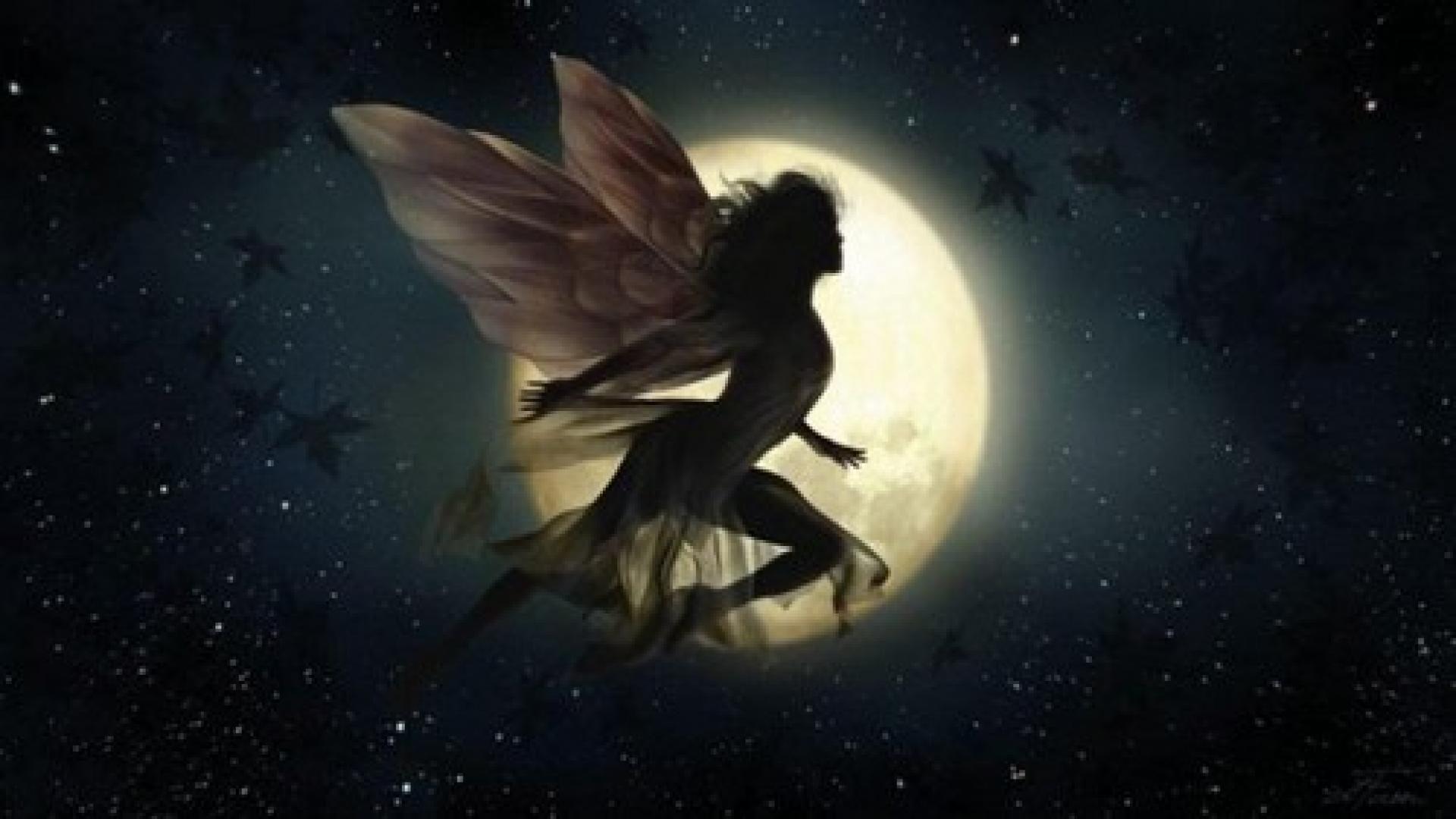 1920x1080 Fairies With Wings
