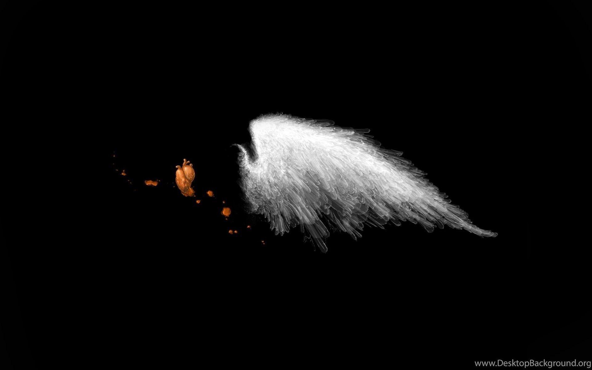 1920x1200 Angel Wings Heart Wallpaper Desktop Background