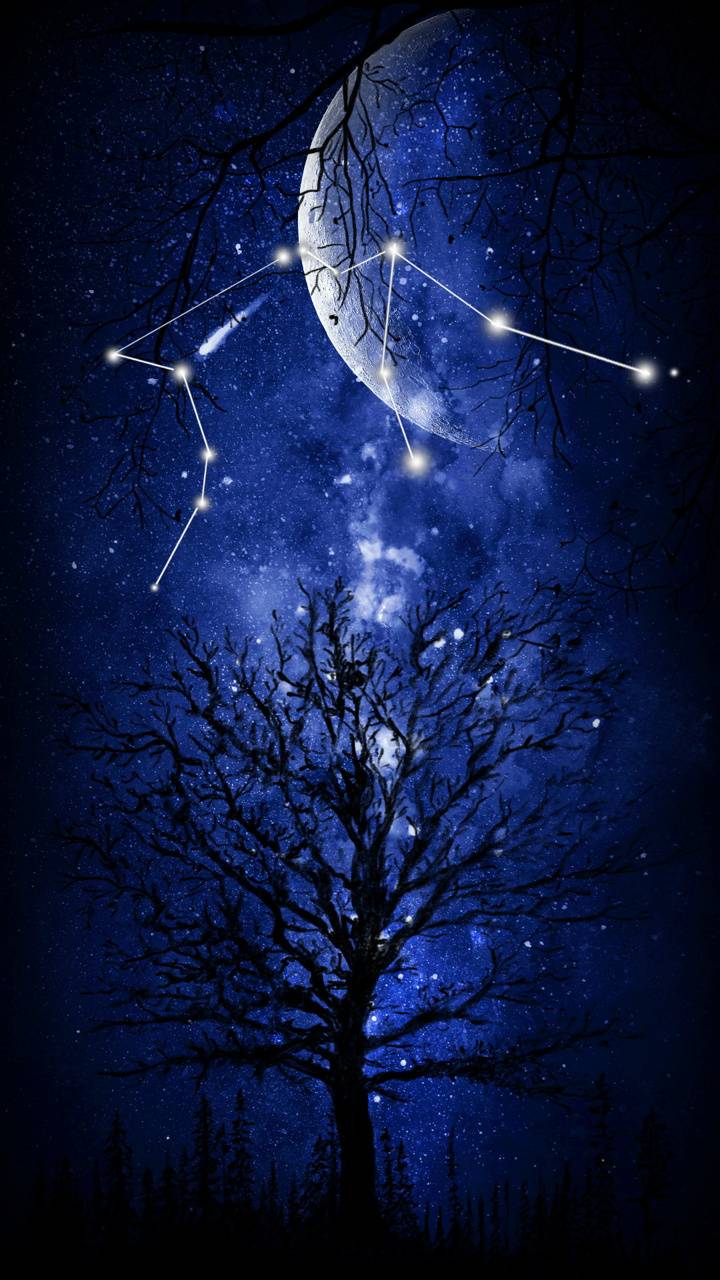 720x1280 Aquarius wallpaper