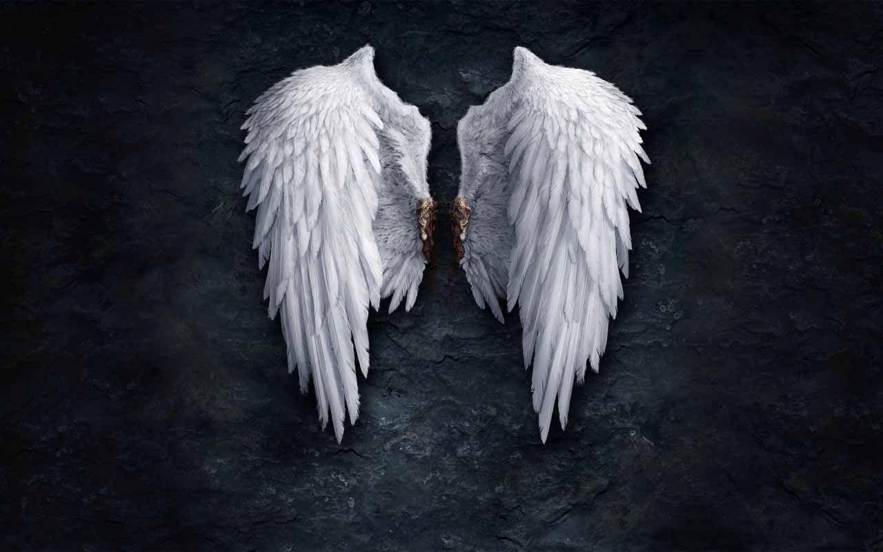 1280x800 Beautiful Wings Wallpaper Inspiration