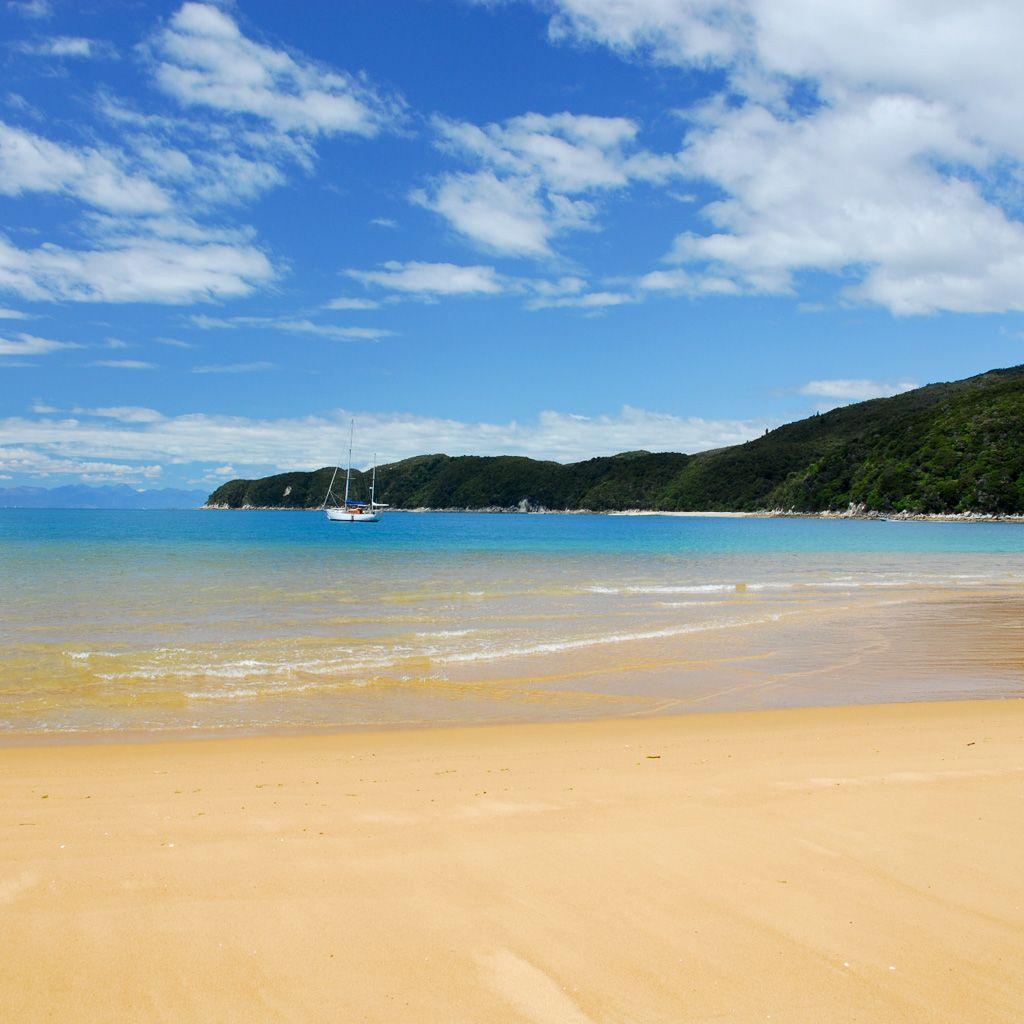 1024x1024 Beach in Abel Tasman national park iPad wallpaper