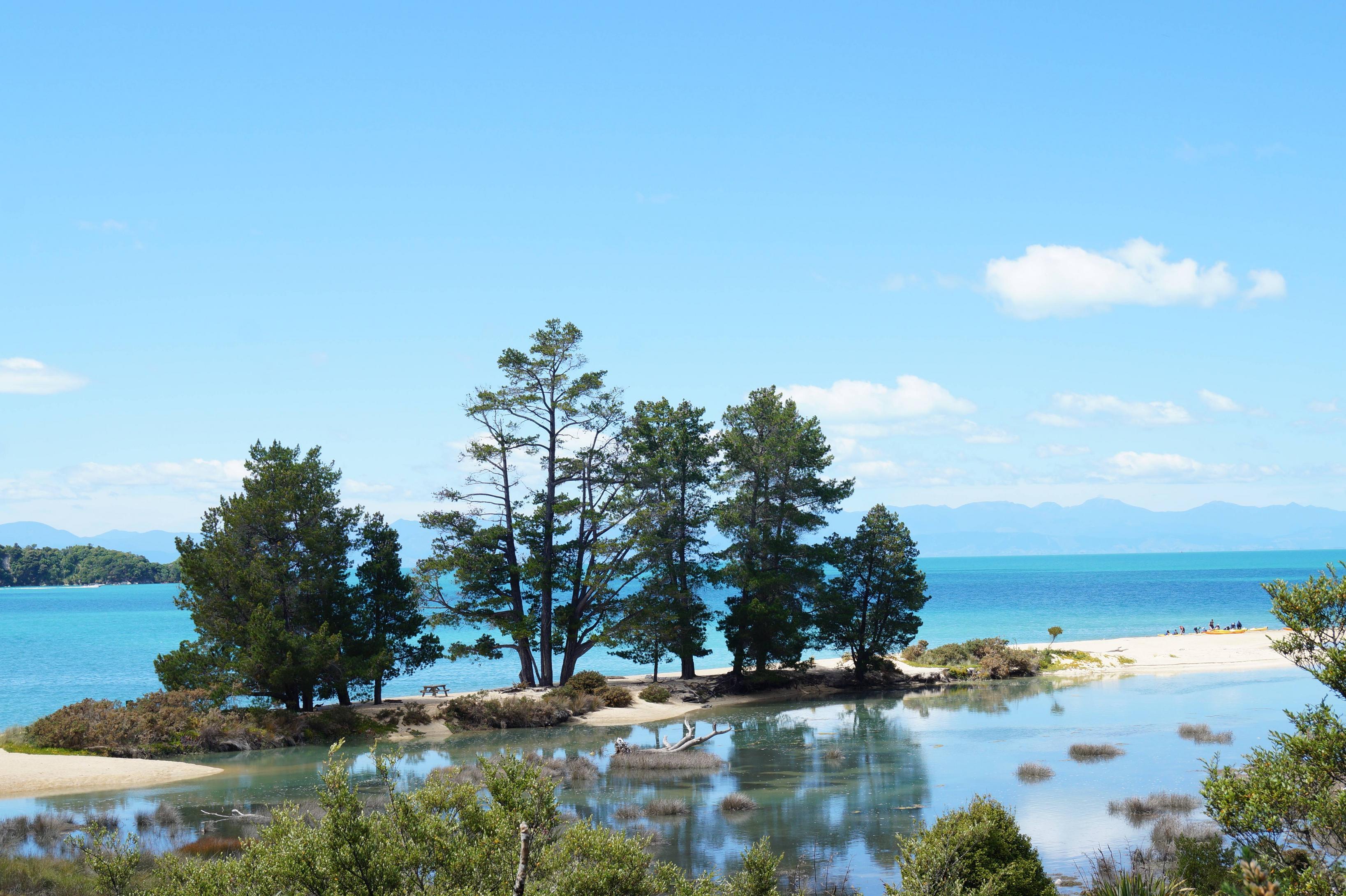 5456x3632 Abel Tasman Zealand Travel BLOG By Kiwis