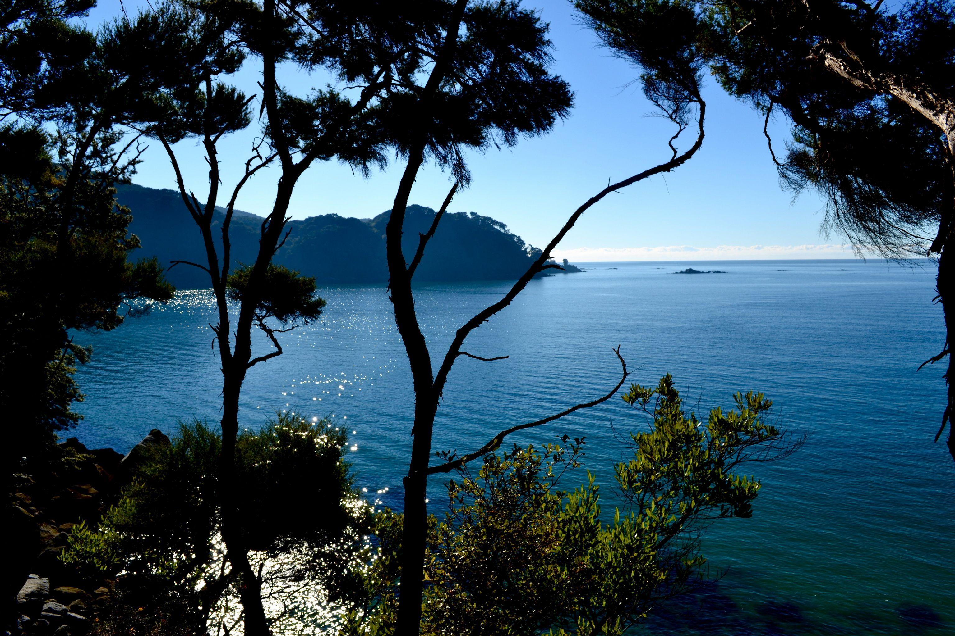 3072x2048 parks, Australia, Coast, Sea, Scenery, Abel, Tasman, Branches, Nature, Ocean, Landscapes, Coast, Shore Wallpaper HD / Desktop and Mobile Background