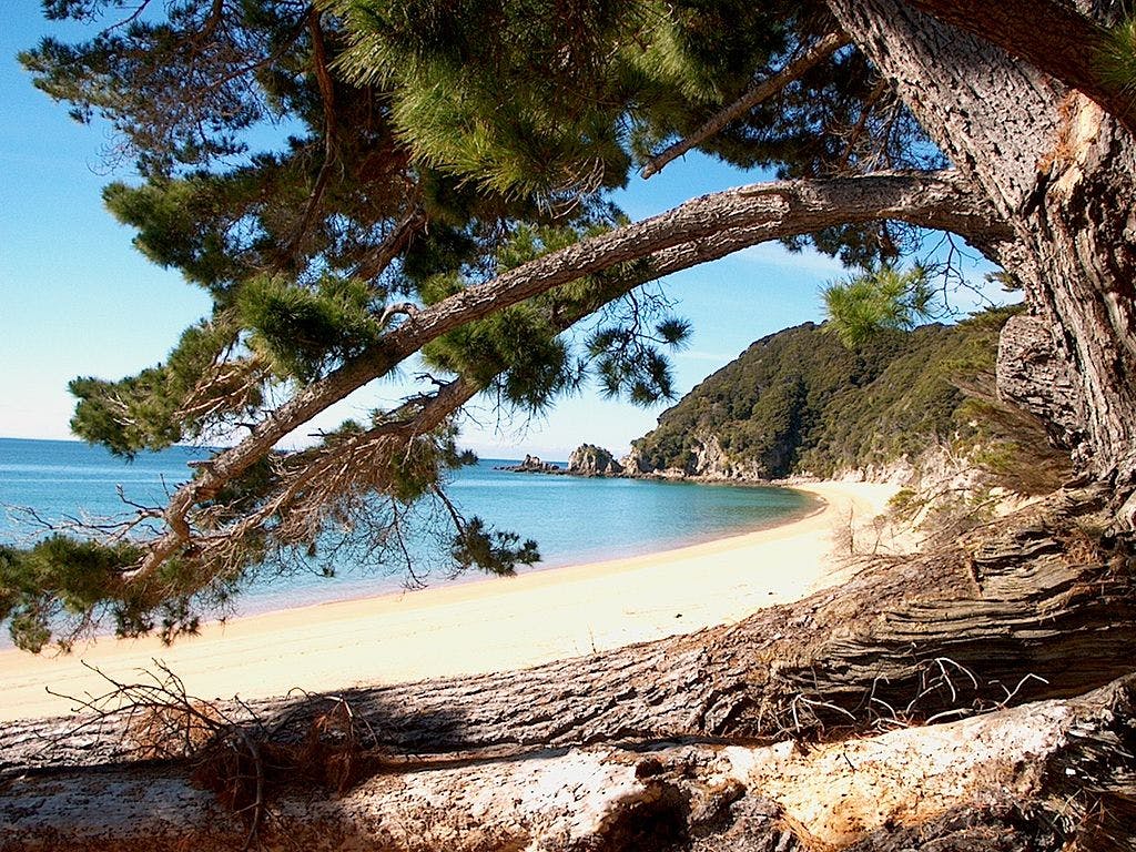 1024x768 of the Best Secret New Zealand Beaches