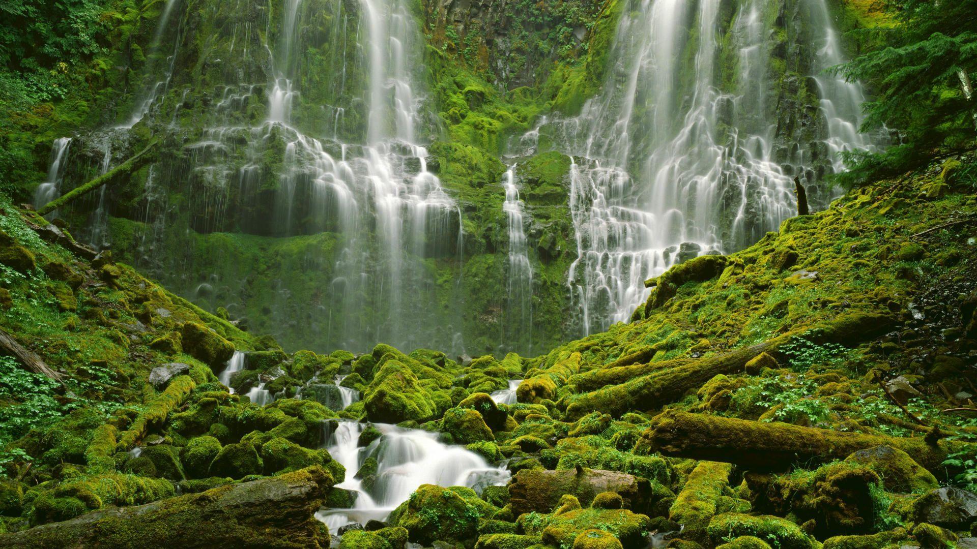 Oregon Nature Wallpapers Top Free Oregon Nature Backgrounds