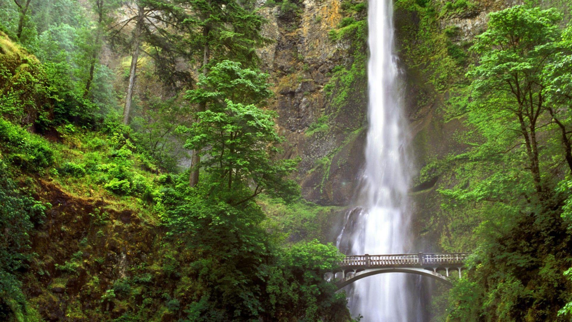 1920x1080 Oregon Wallpaper