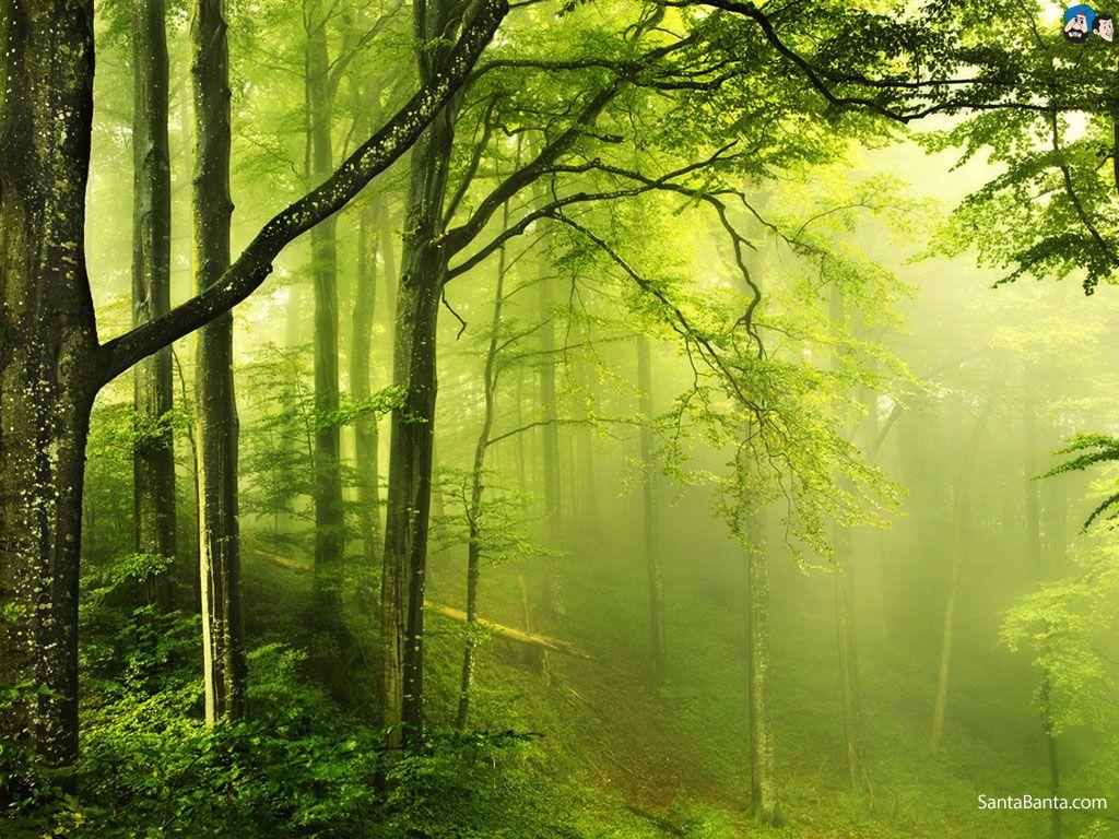 1024x768 Landscapes Wallpaper