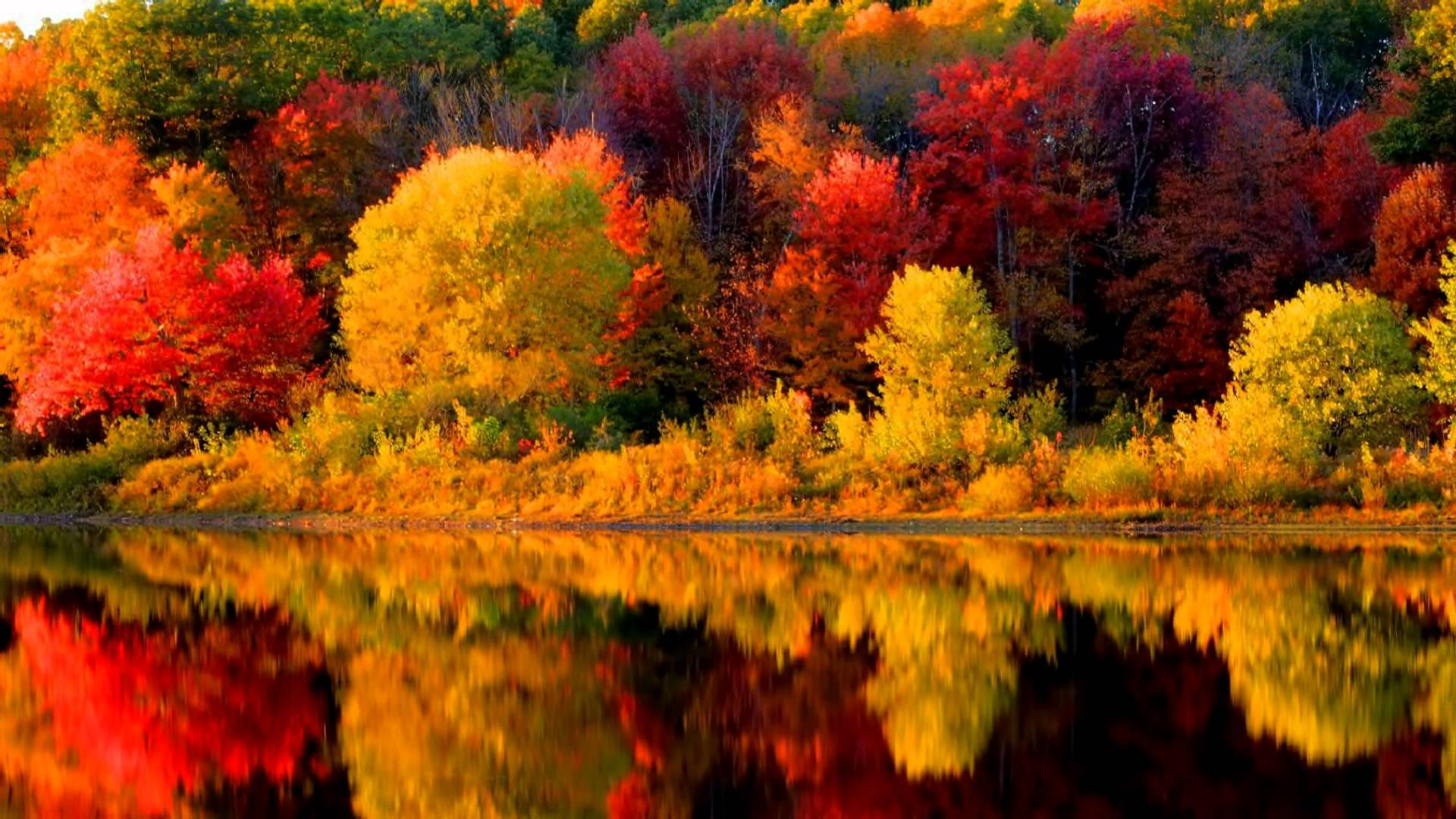 1920x1080 Free download Autumn in New England Music by Vivaldi [1920x1080] for your Desktop, Mobile & Tablet. Explore Fall in New England Wallpaper. Fall in New England Wallpaper, New England