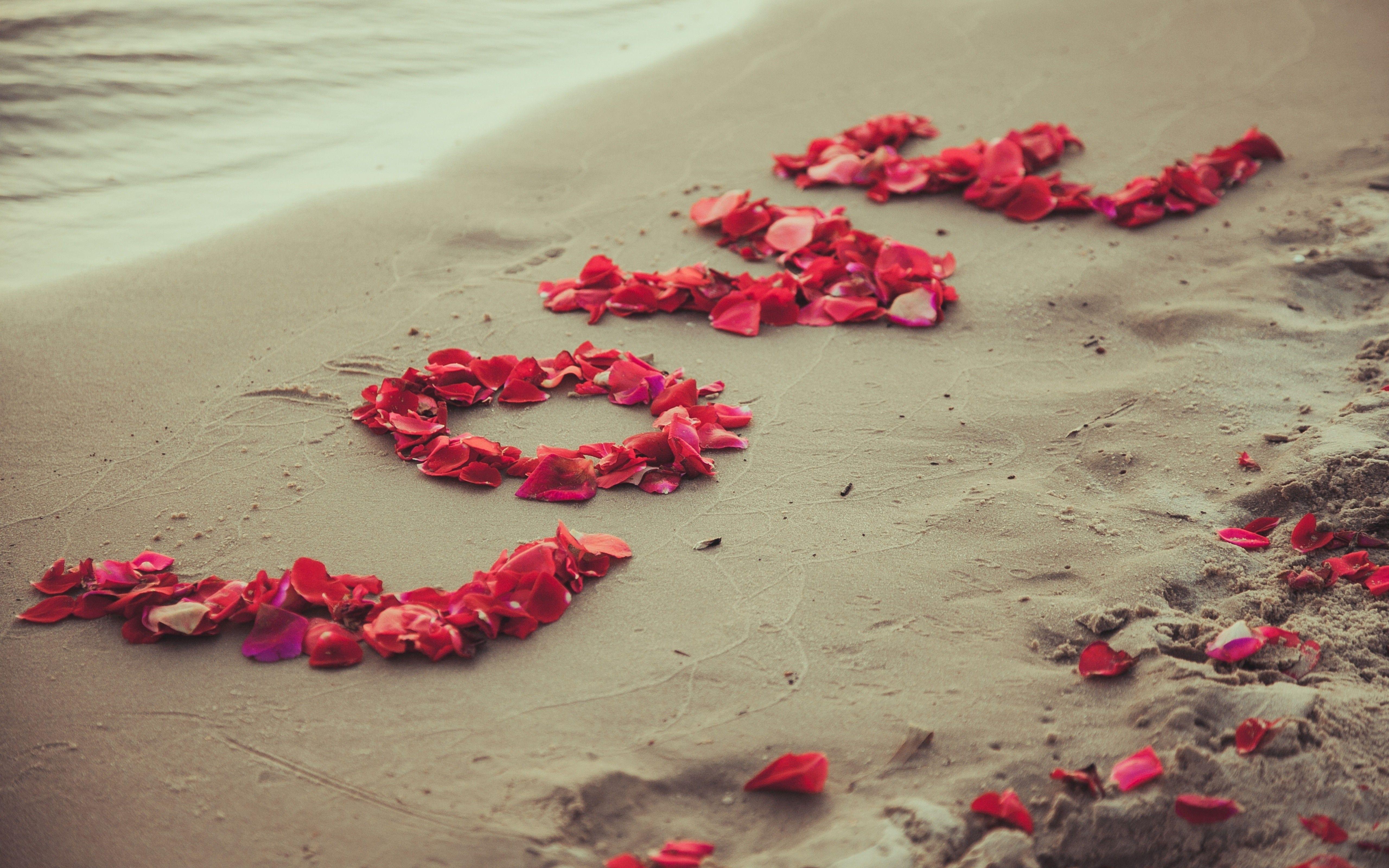 5120x3200 Sweet Romantic Petals Love Wallpaper - [5120x3200]