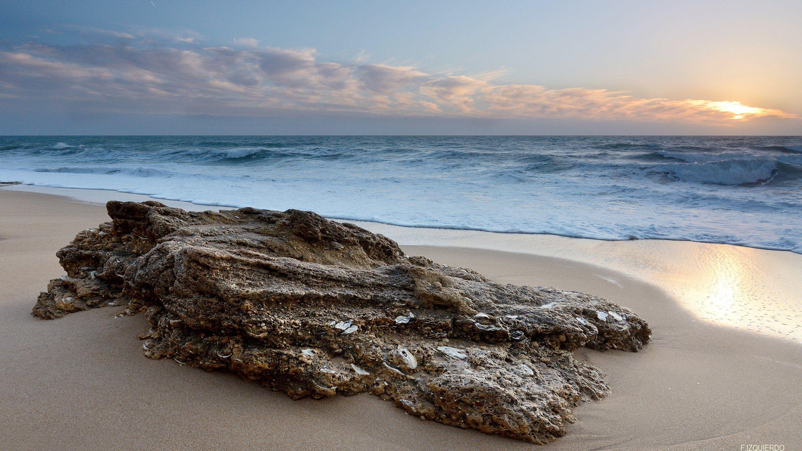 2560x1440 Free photo: Ocean Rock, Northern, Surf
