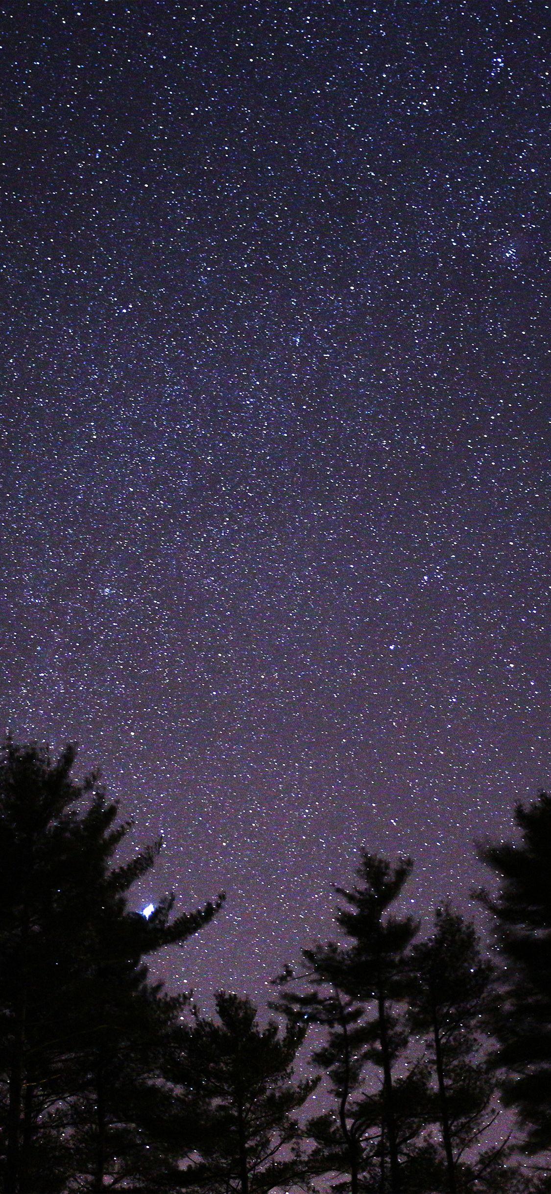 Dark Sky with Stars Wallpapers Top Free Dark Sky with Stars