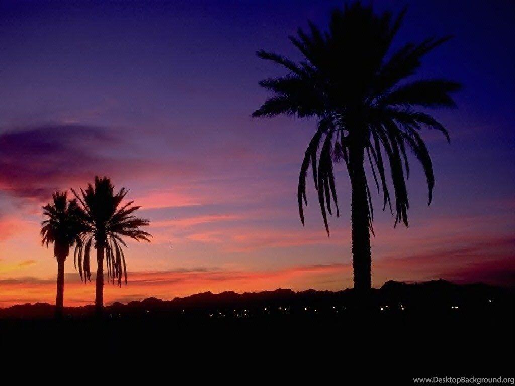 1024x768 Arizona Sunset Wallpaper Free Desktop Background