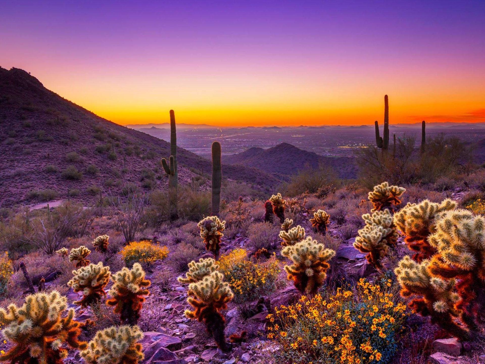 Arizona Sunset HD Wallpapers - Top Free Arizona Sunset HD Backgrounds ...