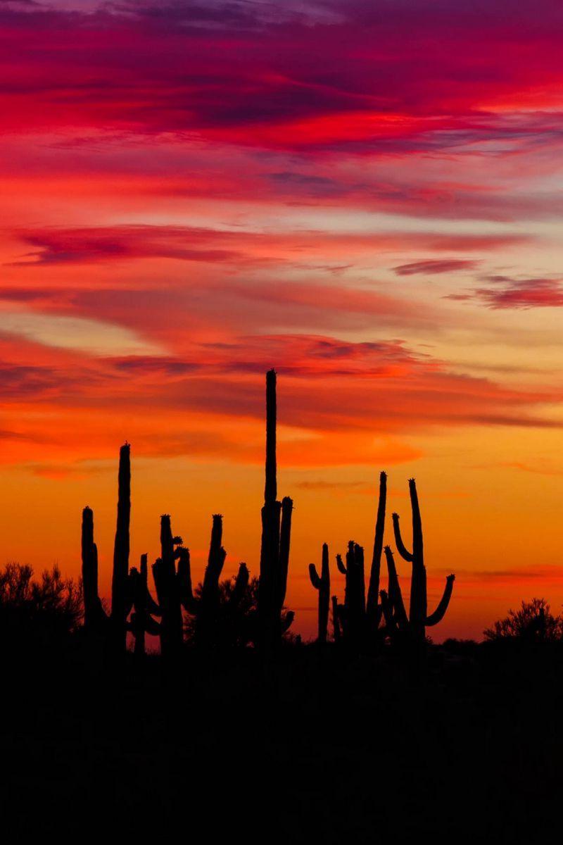 Arizona Sunset HD Wallpapers - Top Free Arizona Sunset HD Backgrounds ...