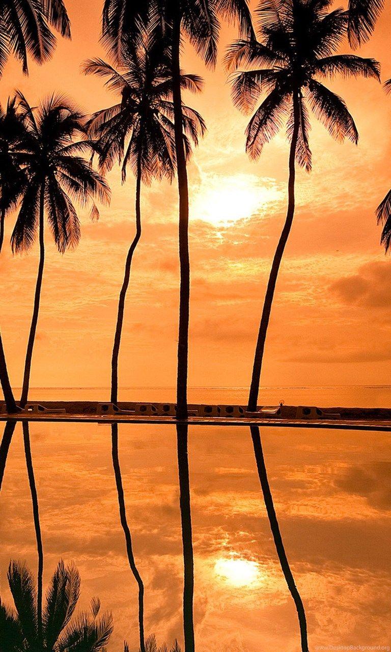 768x1280 Hawaii Sunset Coast Wallpaper For iPhone 6 Plus, iPhone 6 Plus. Desktop Background