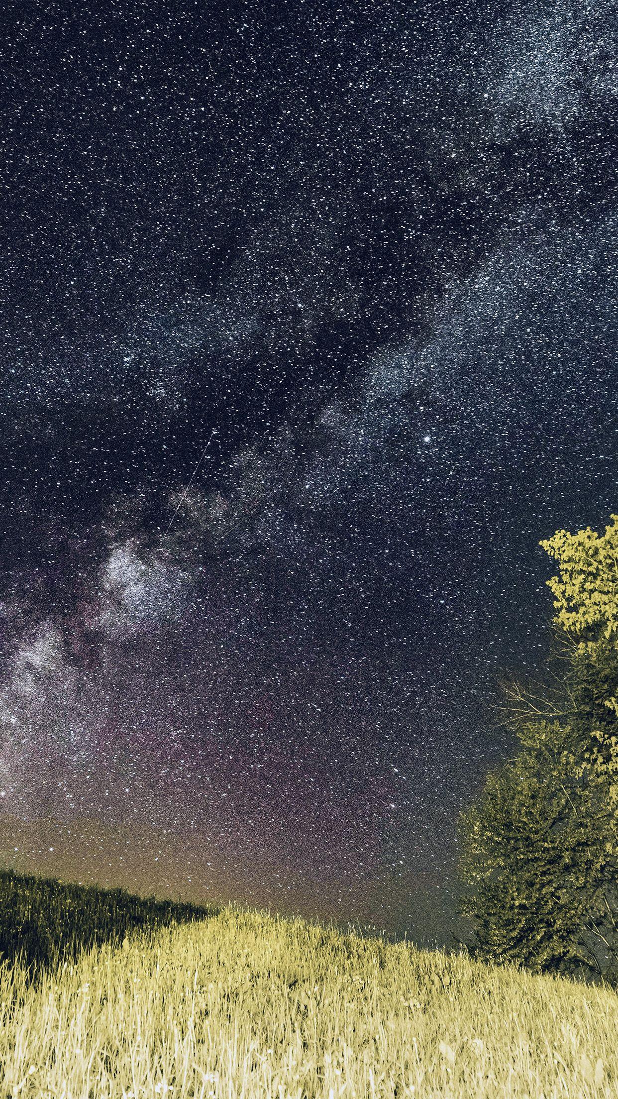 1242x2208 One Dark Night Sky Starry Space Silent Wallpaper