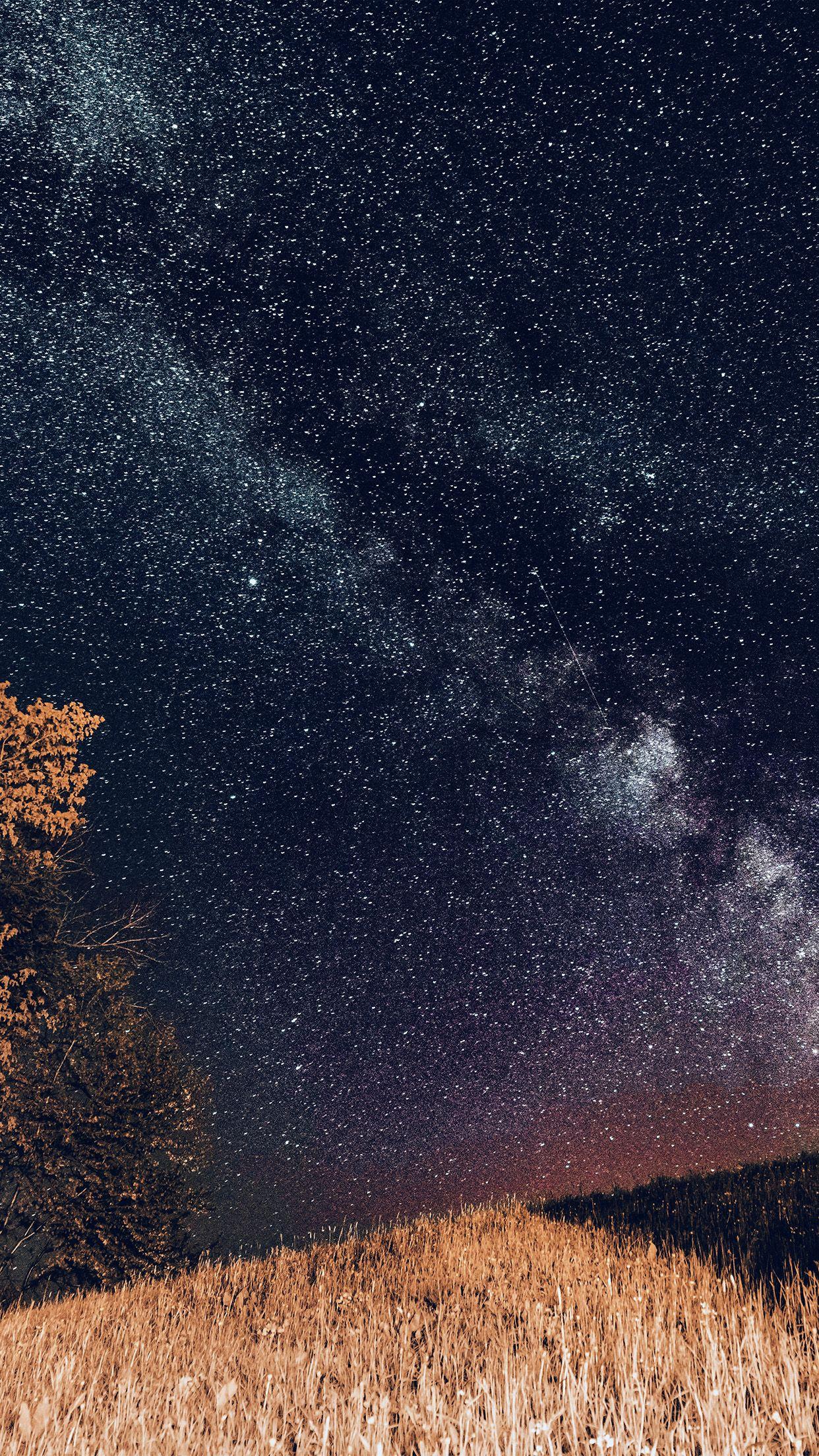 1242x2208 One Dark Night Sky Starry Space Silent Blue