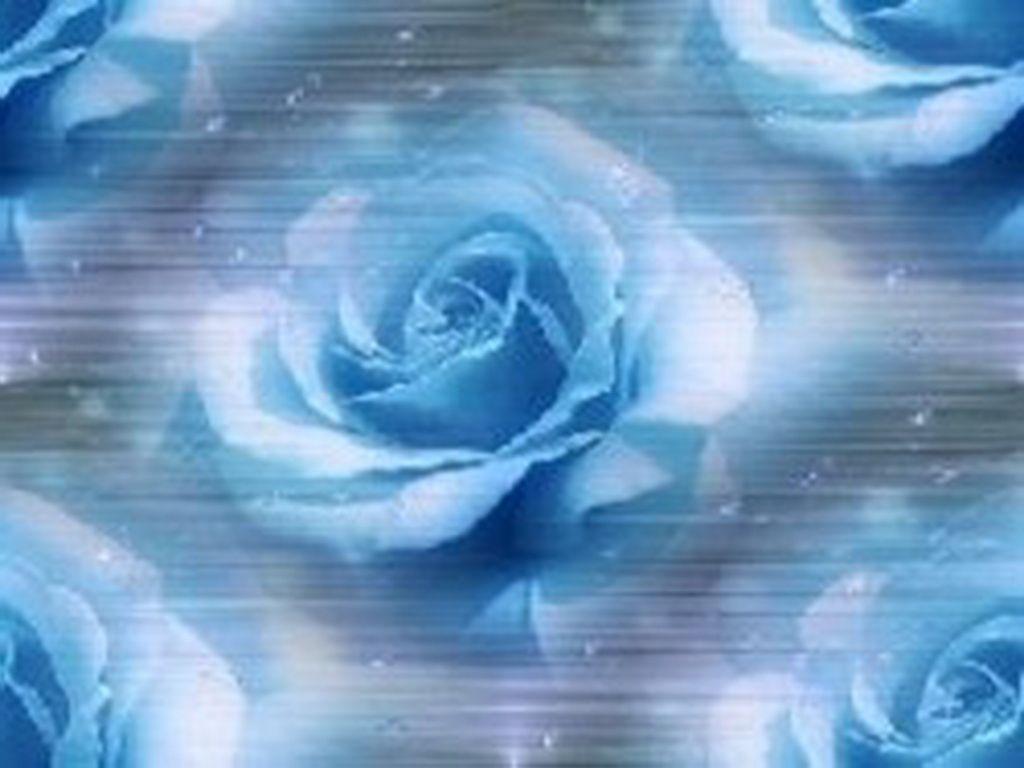 1024x768 Free download Blue Silver roses Abstract blue flowers petals roses silver [1024x768] for your Desktop, Mobile & Tablet. Explore Blue and Silver Wallpaper. Metallic Blue Wallpaper, Silver Wallpaper for