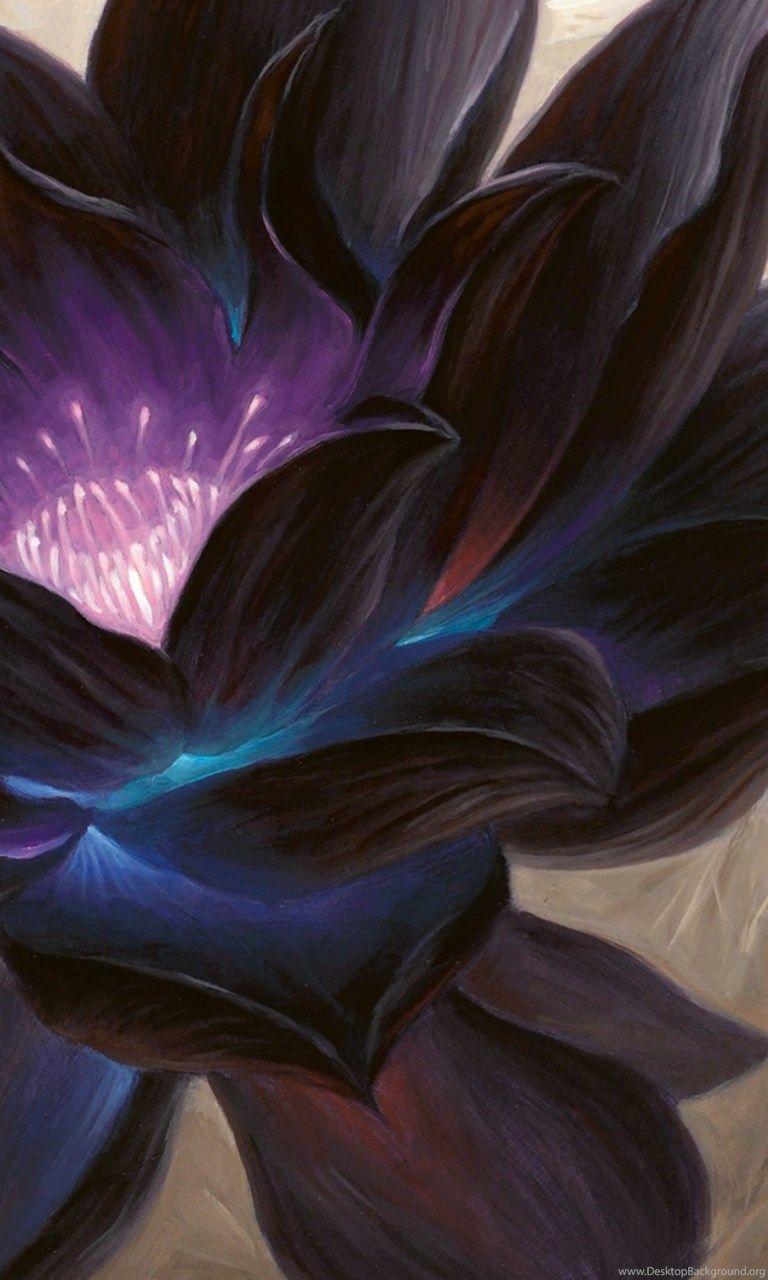 768x1280 Black Lotus iPhone Wallpaper Desktop Background