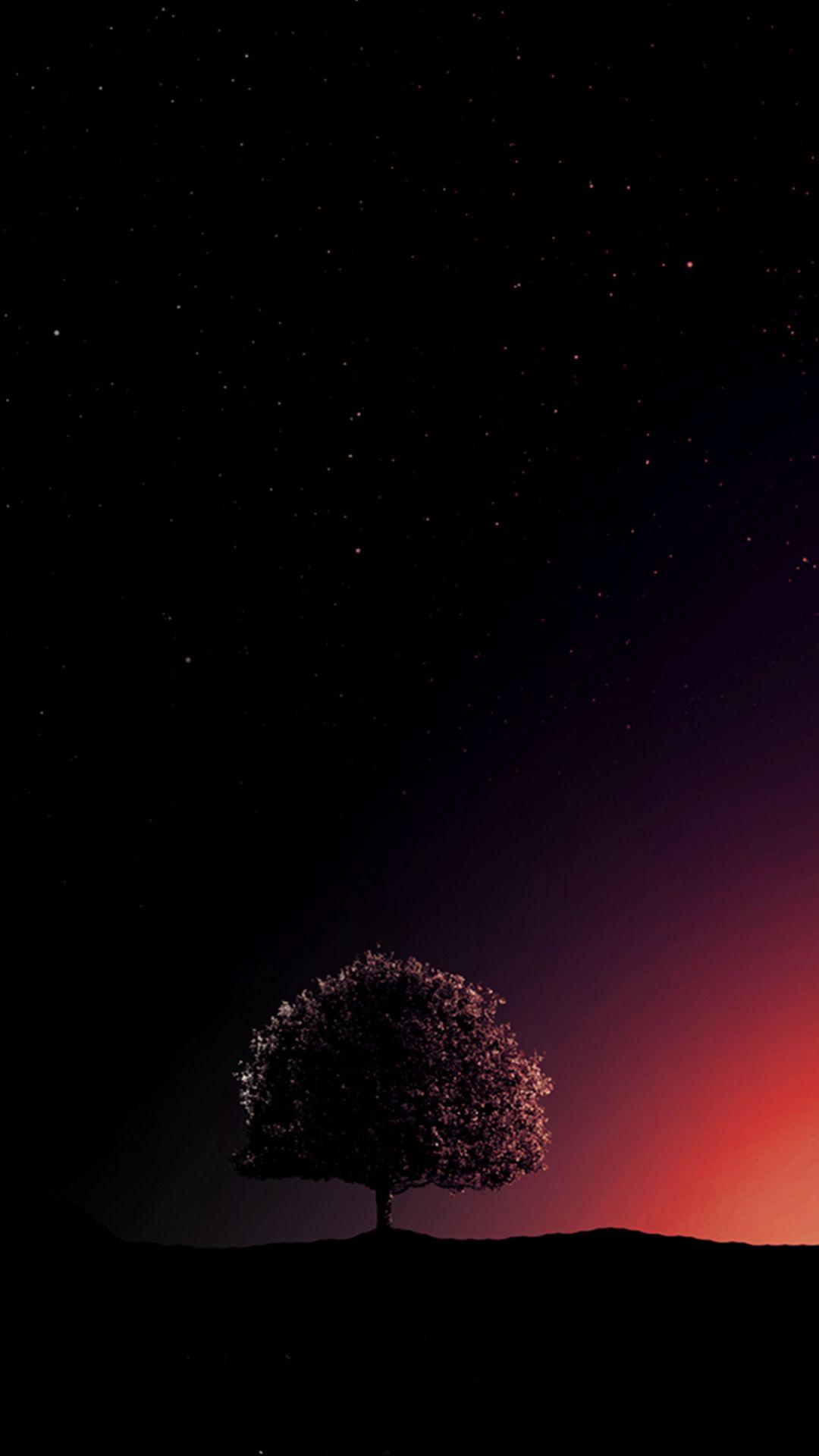 1080x1920 Solitude Is Golden HD Mobile Wallpaper HD Wallpaper For Phone HD Wallpaper