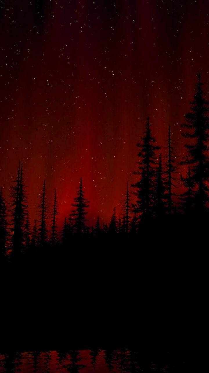 720x1280 Free download DarkForest 720x1280 Wallpaper ID 560755 Mobile Abyss [720x1280] for your Desktop, Mobile & Tablet. Explore Dark Forest HD Mobile Wallpaper. Dark Forest HD Mobile Wallpaper, Dark Forest