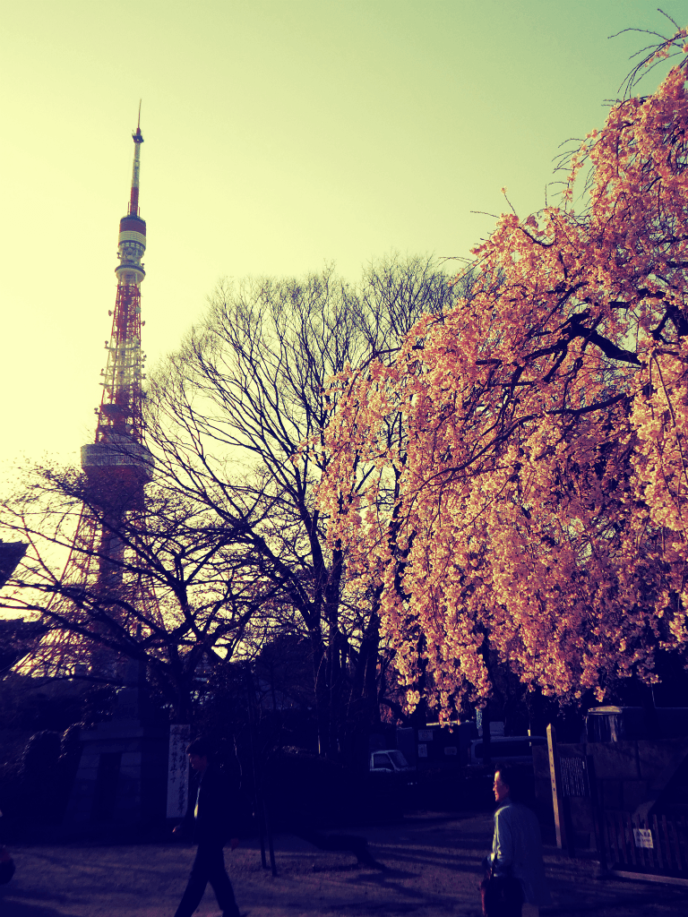 768x1024 Tokyo Tower 2. By Keira N