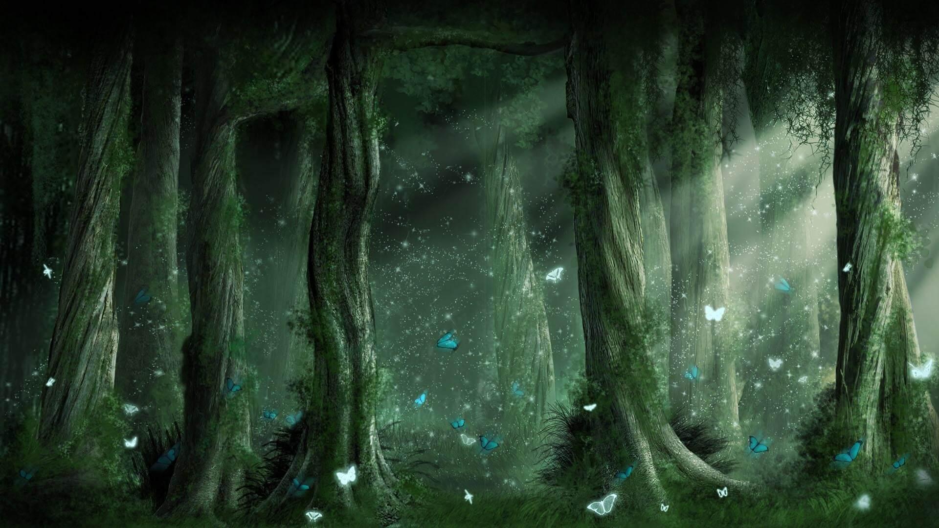 1920x1080 Fairy Wallpaper HD for Android