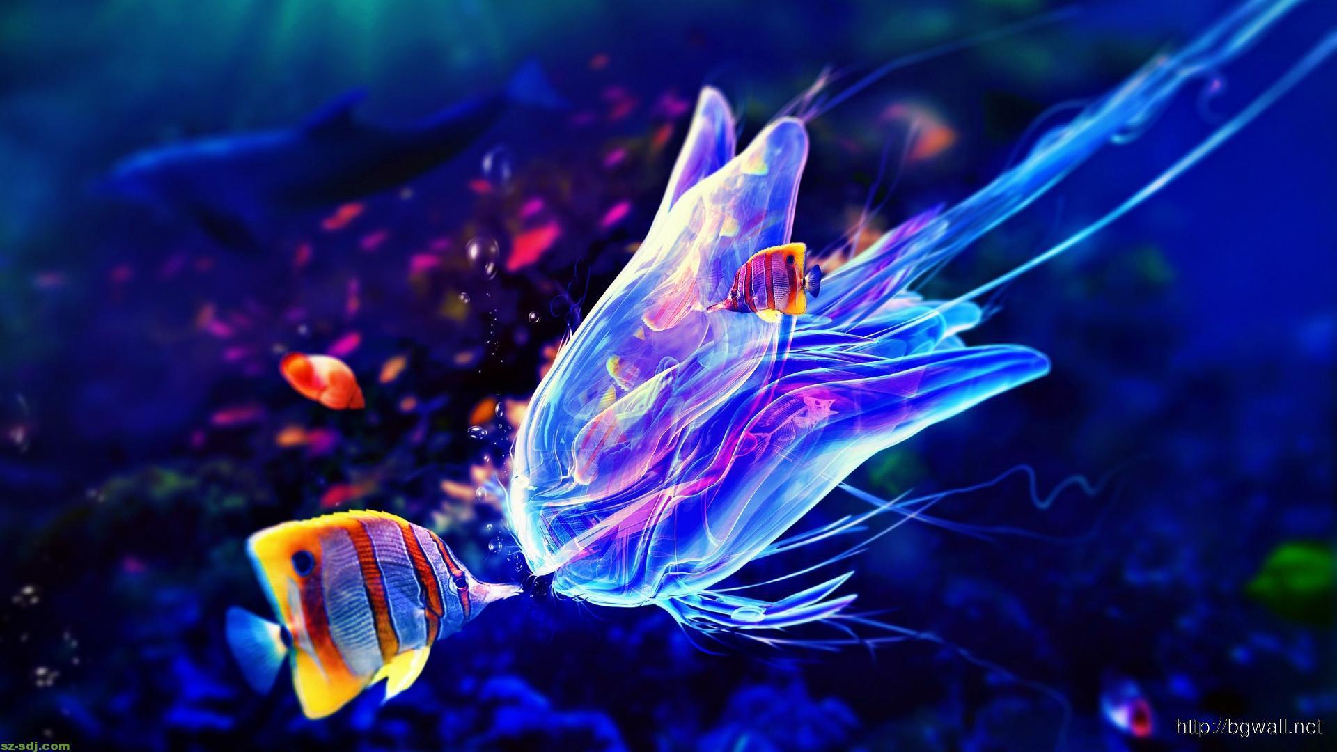 1920x1080 Free download Home Abstract Colorful Jellyfish Wallpaper Widescreen [1920x1080] for your Desktop, Mobile & Tablet. Explore Colorful Jellyfish Wallpaper. Colorful Jellyfish Wallpaper, Jellyfish Wallpaper, Jellyfish Background