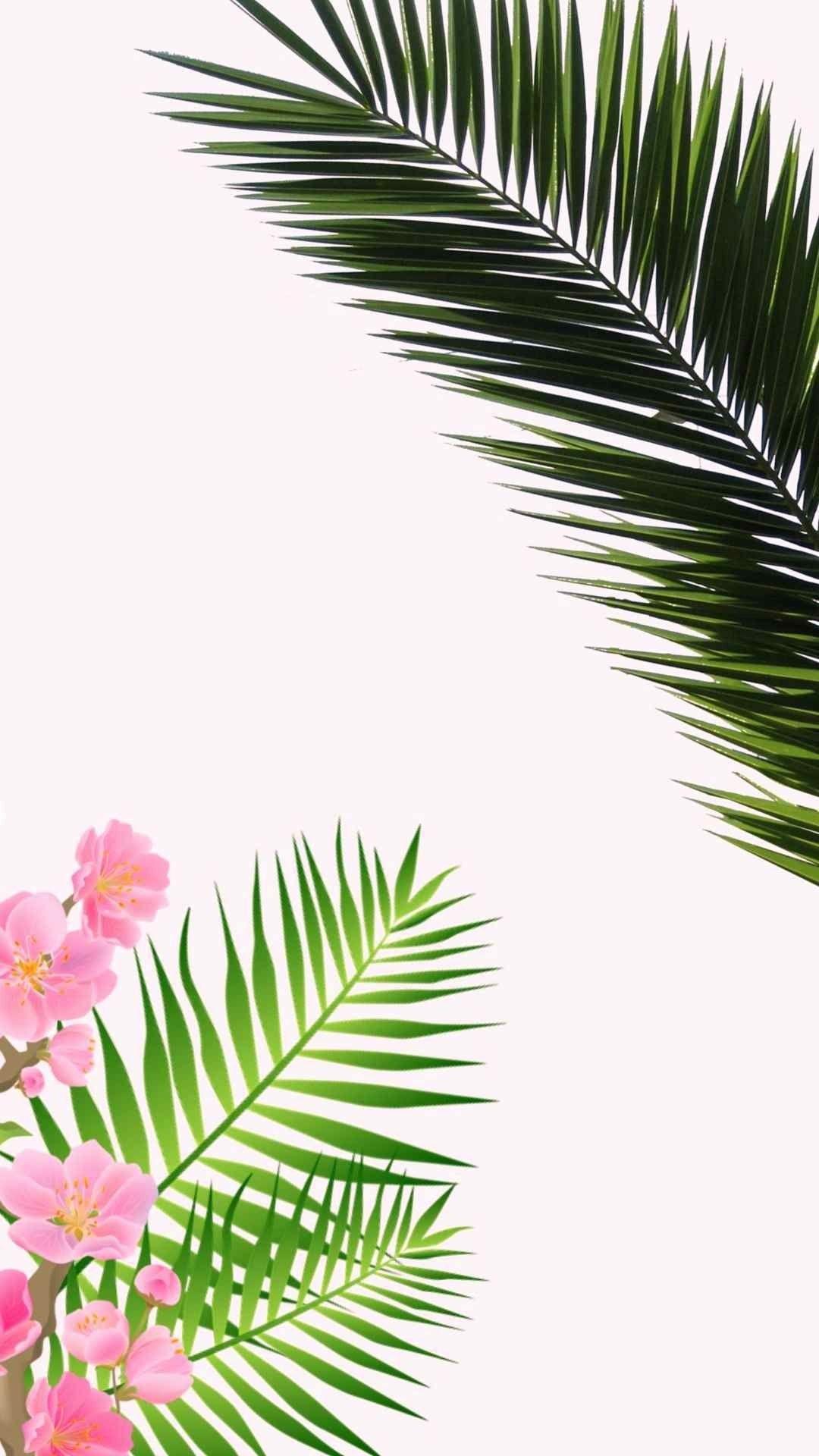 1080x1920 Palm Leaves Wallpaper 37 Image Wallpaper For iPhone, Download Wallpaper