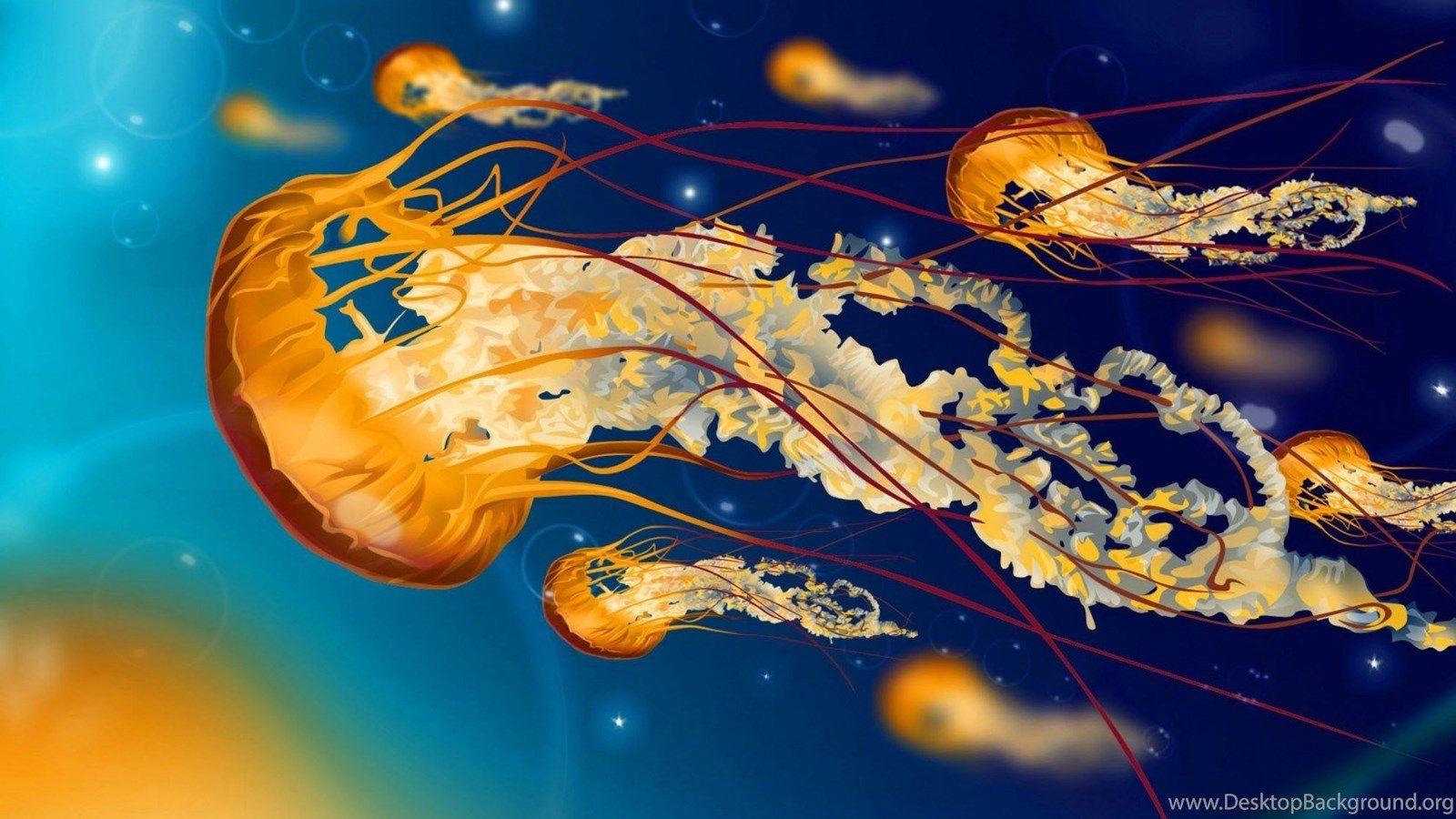 1600x900 Colorful Jellyfish Wallpaper HD Desktop Background