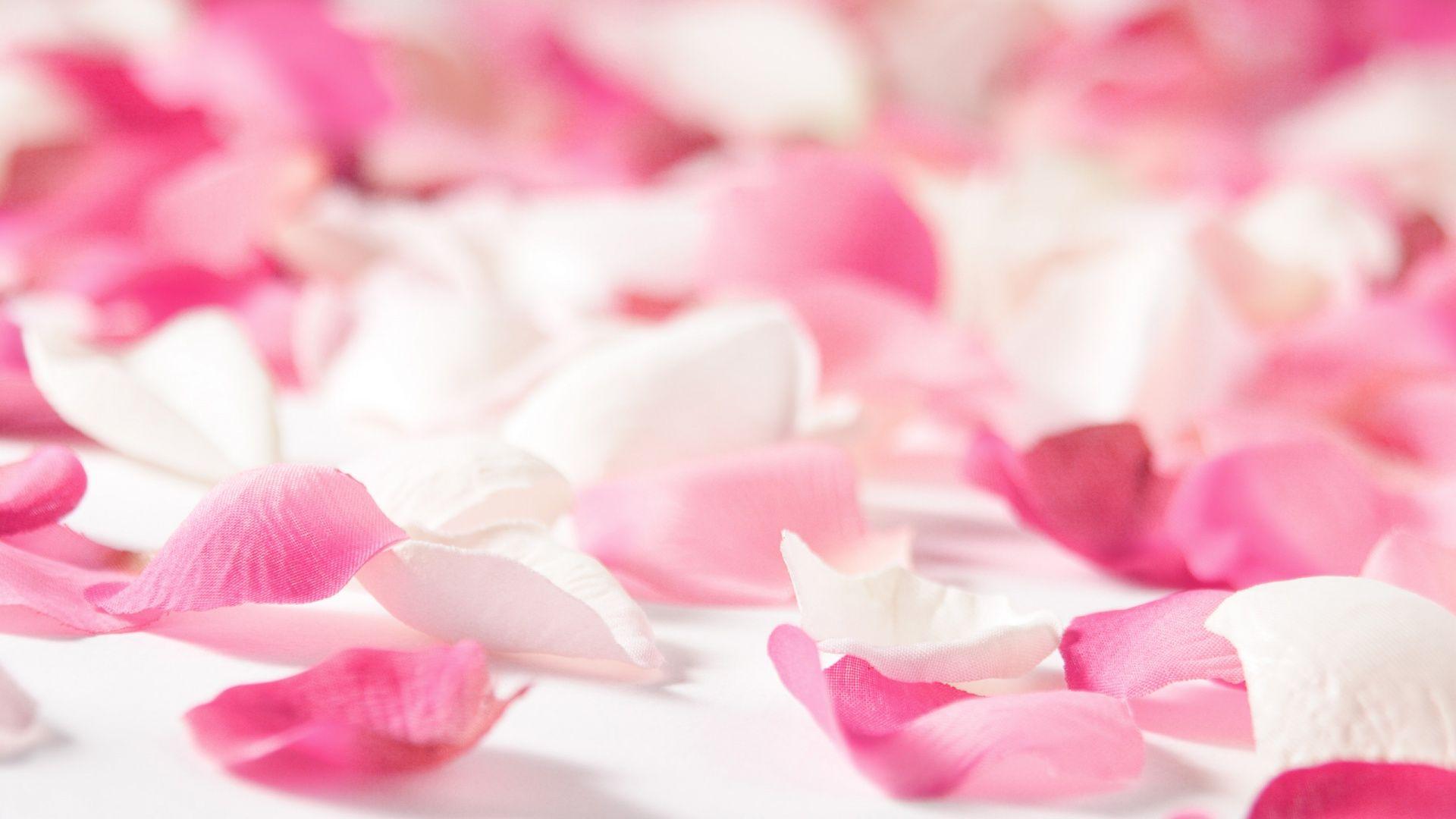 1920x1080 Rose Leaves wallpaperx1080