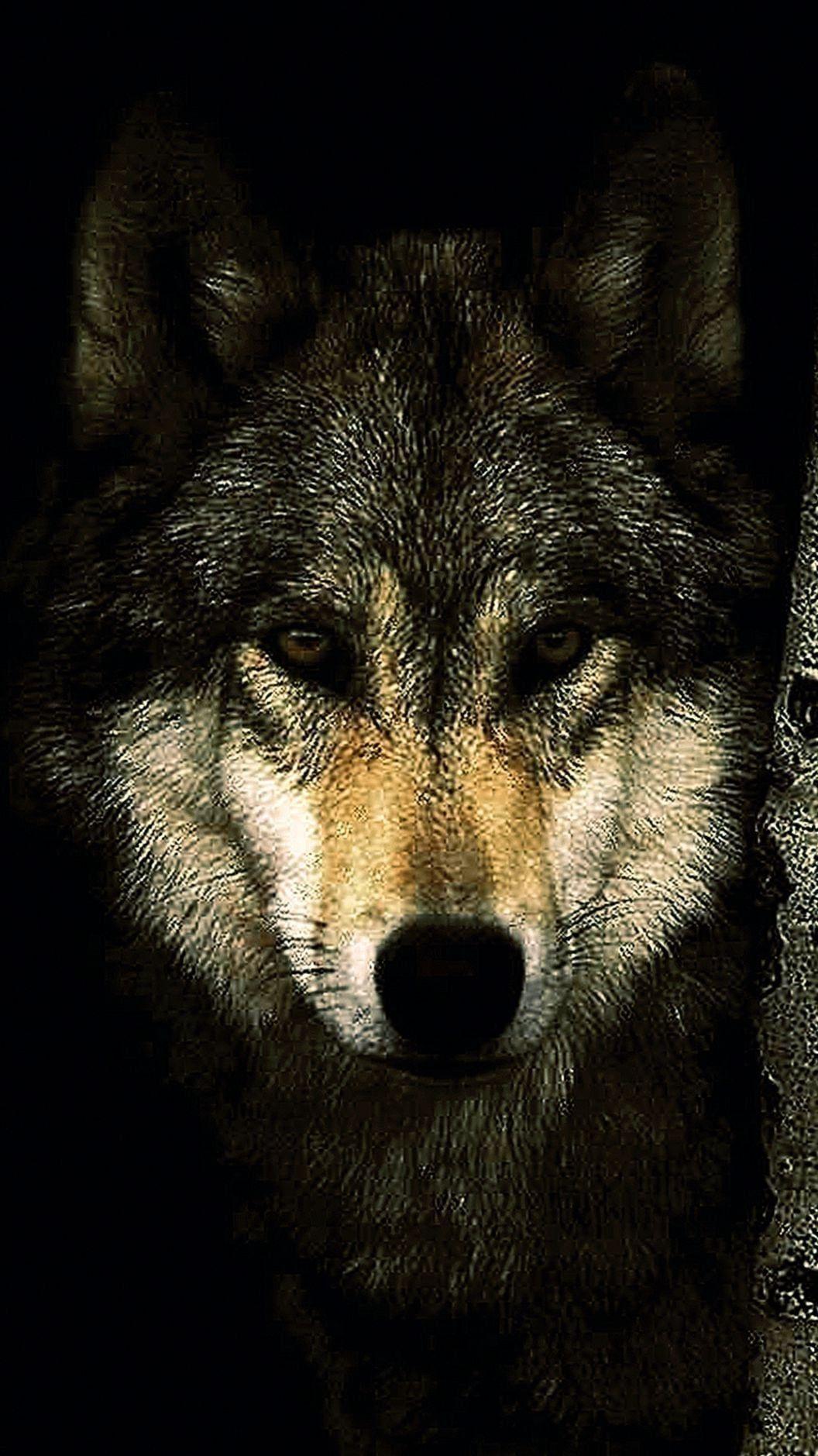 1056x1879 Mobile Wallpaper Dark Wolf Wallpaper.Pro
