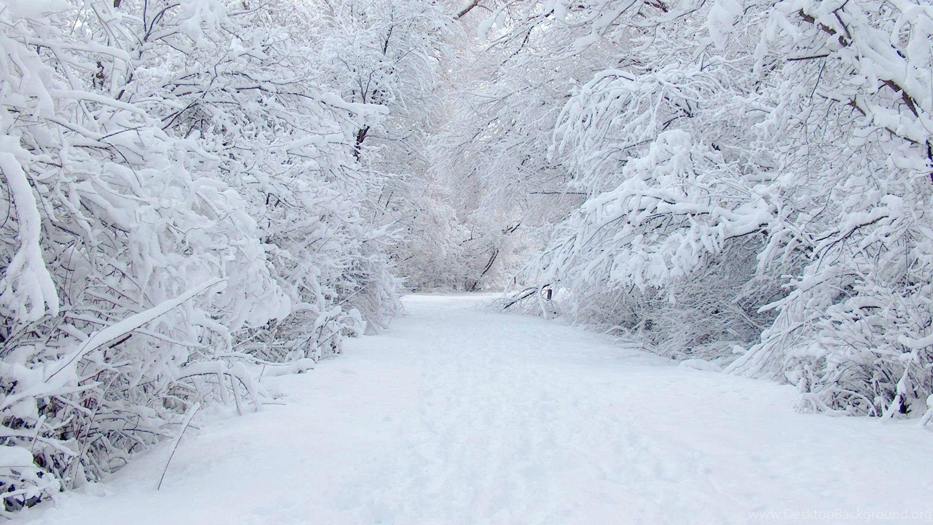 1920x1080 Winter Snow Desktop Wallpaper, Winter Snow Background, New Wallpaper Desktop Background