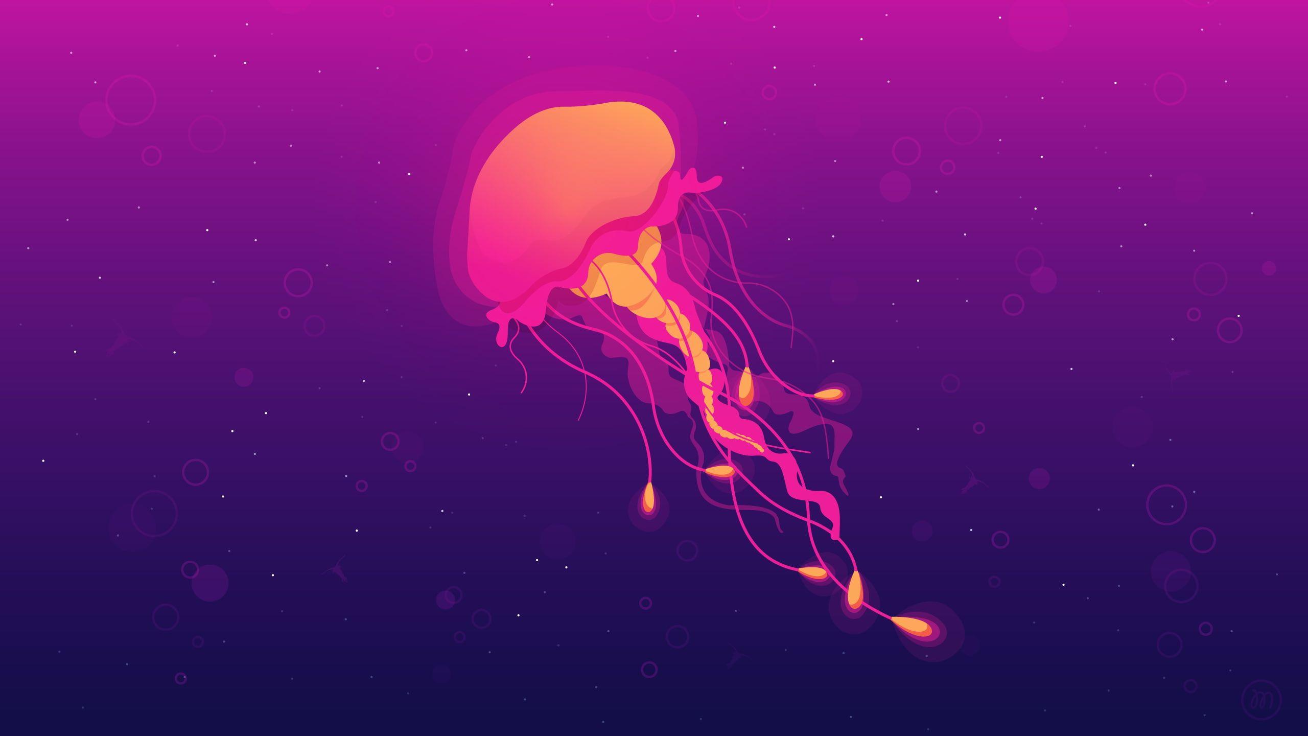 2560x1440 Jellyfish K #wallpaper #hdwallpaper #desktop. Jellyfish illustration, Jellyfish picture, iPhone wallpaper jellyfish