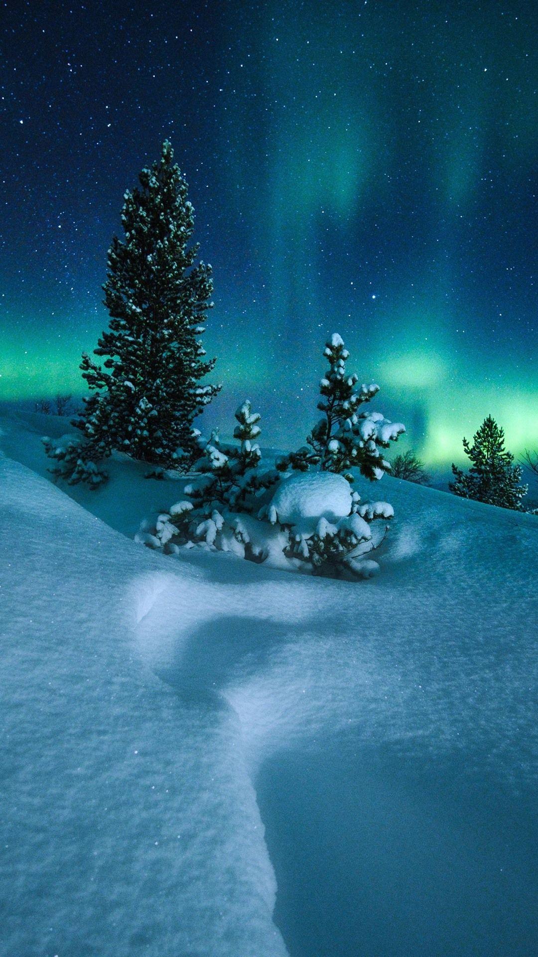 1080x1920 Wallpaper Northern lights, Norway, trees, snow, starry, night 2880x1800 HD Picture, Image