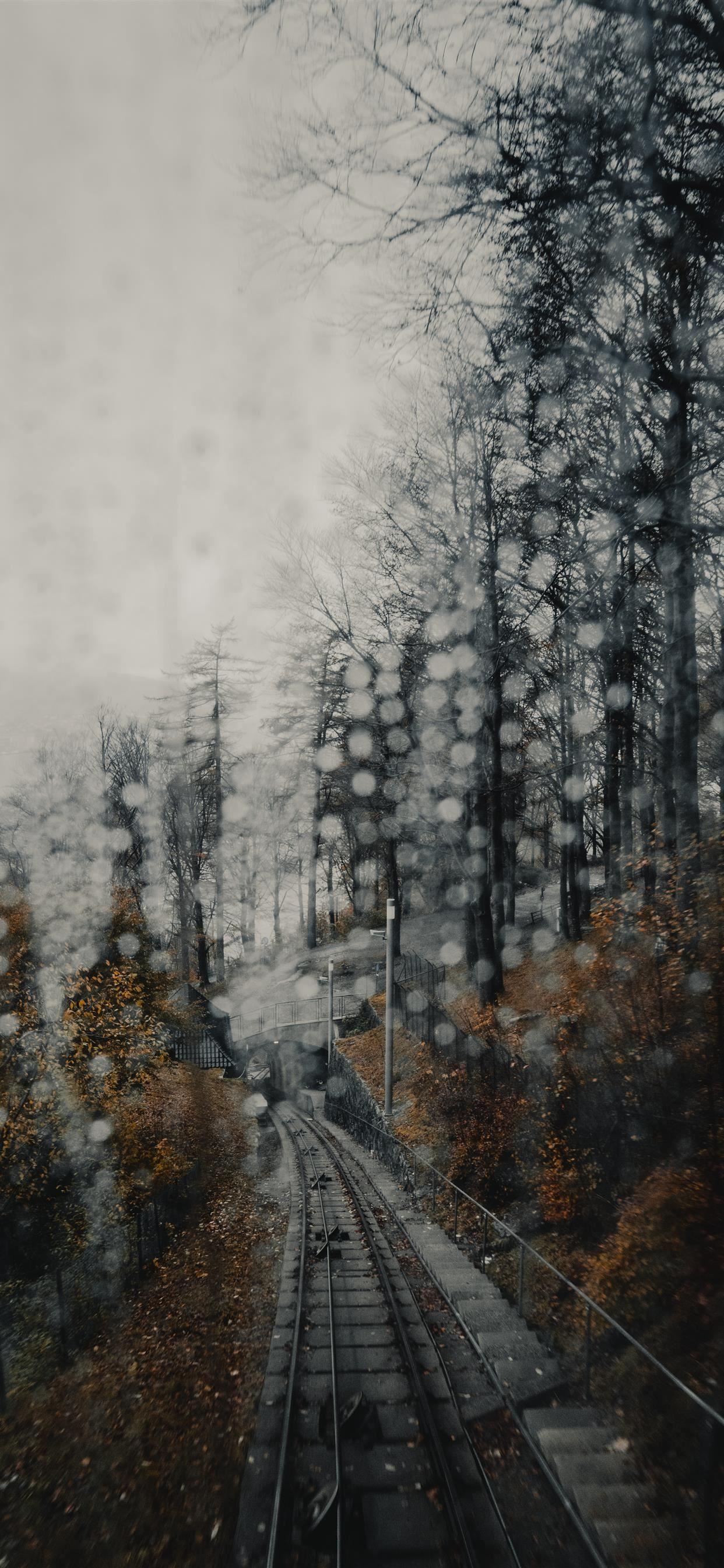 1242x2688 Bergen Norway iPhone X Wallpaper Free Download