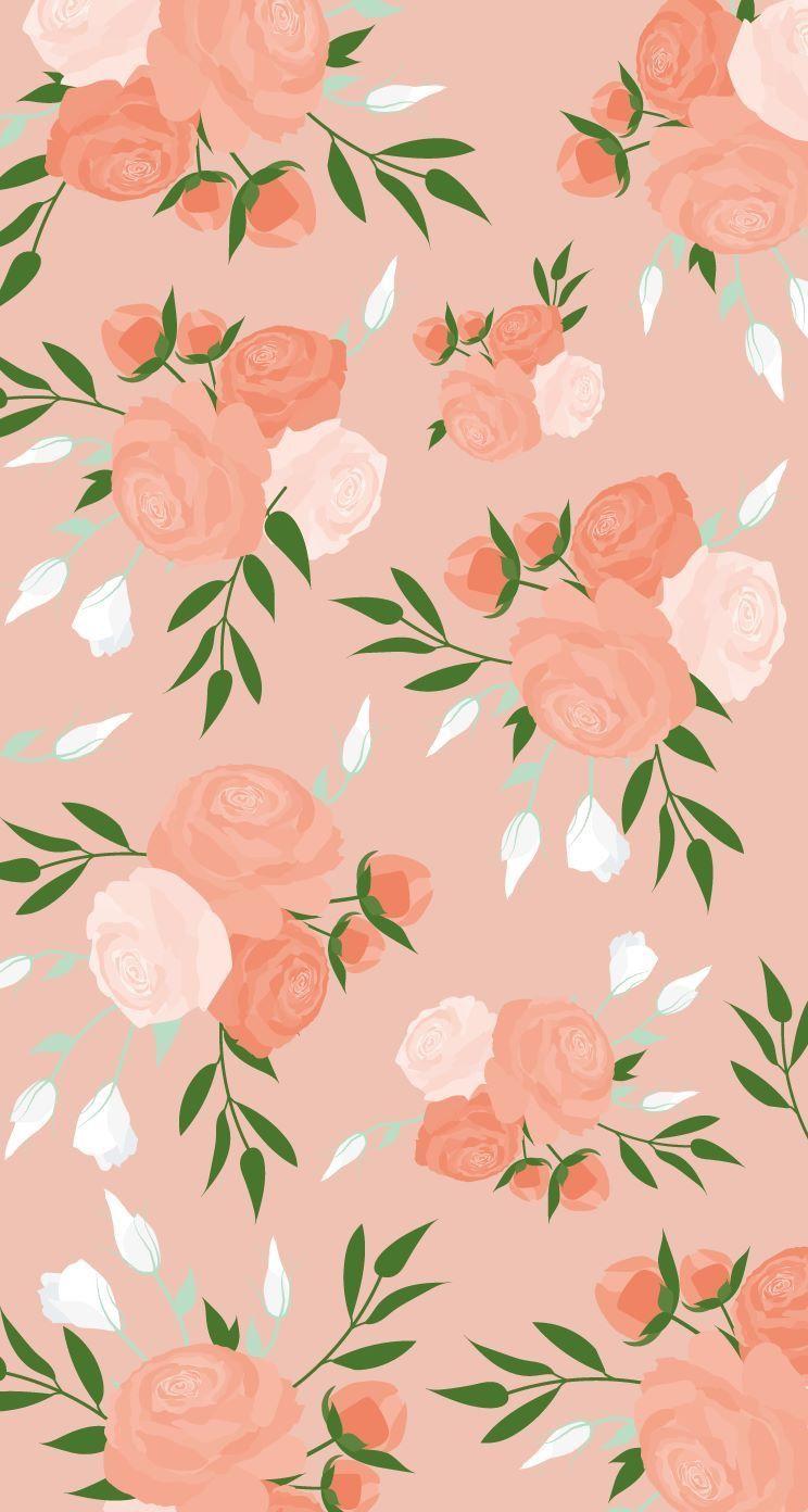 Peach Floral Wallpapers - Top Free Peach Floral Backgrounds