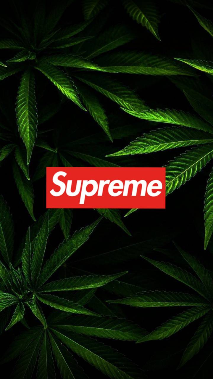 Dope Supreme Logo Wallpapers Top Free Dope Supreme Logo Backgrounds Wallpaperaccess