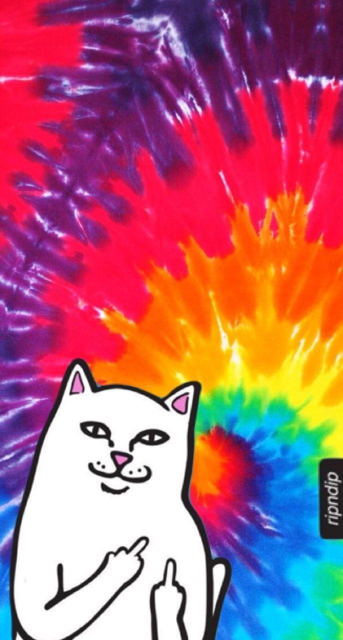 686x1280 Supreme Middle Finger Cat Wallpaper