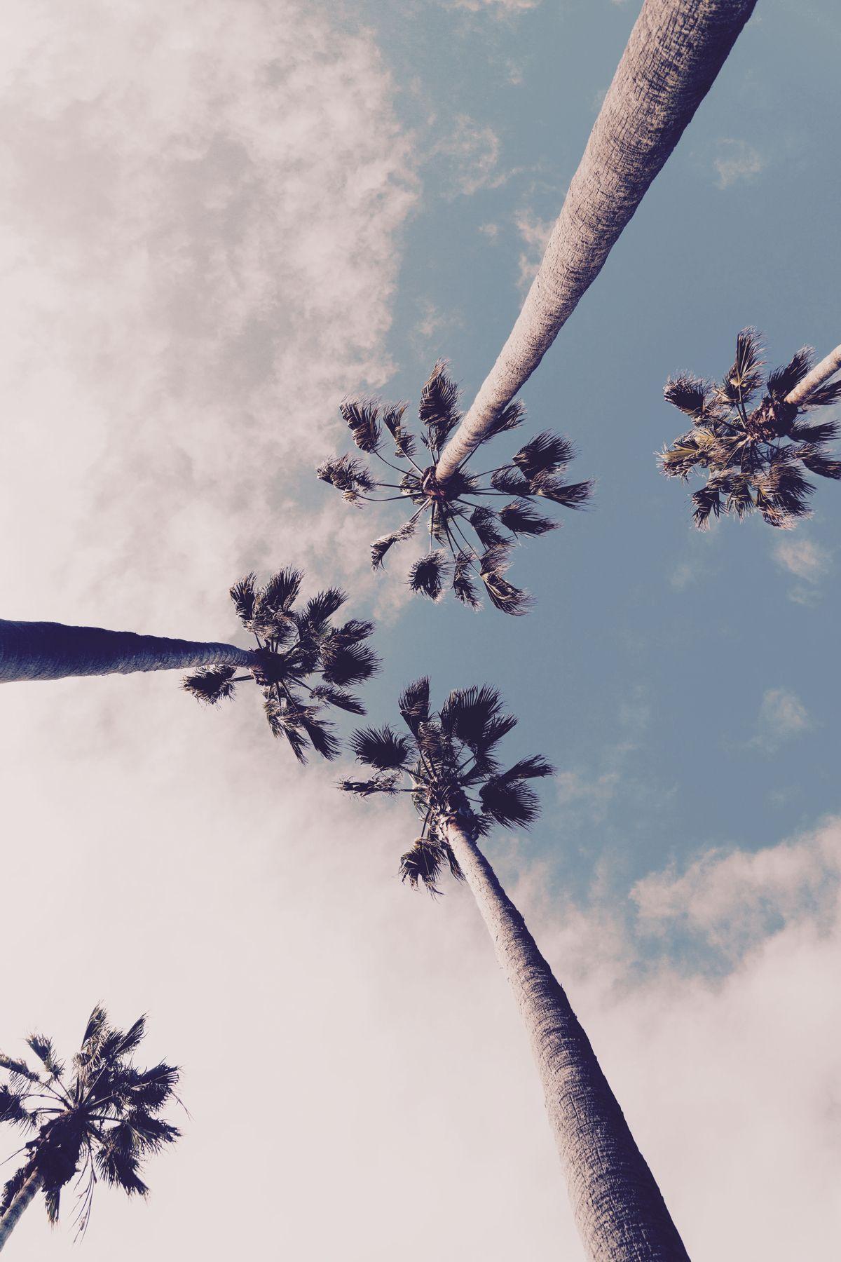 1200x1800 Beach life