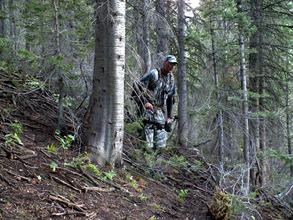 1024x768 The DIY Hunter Journal Entries (Blog Layout)