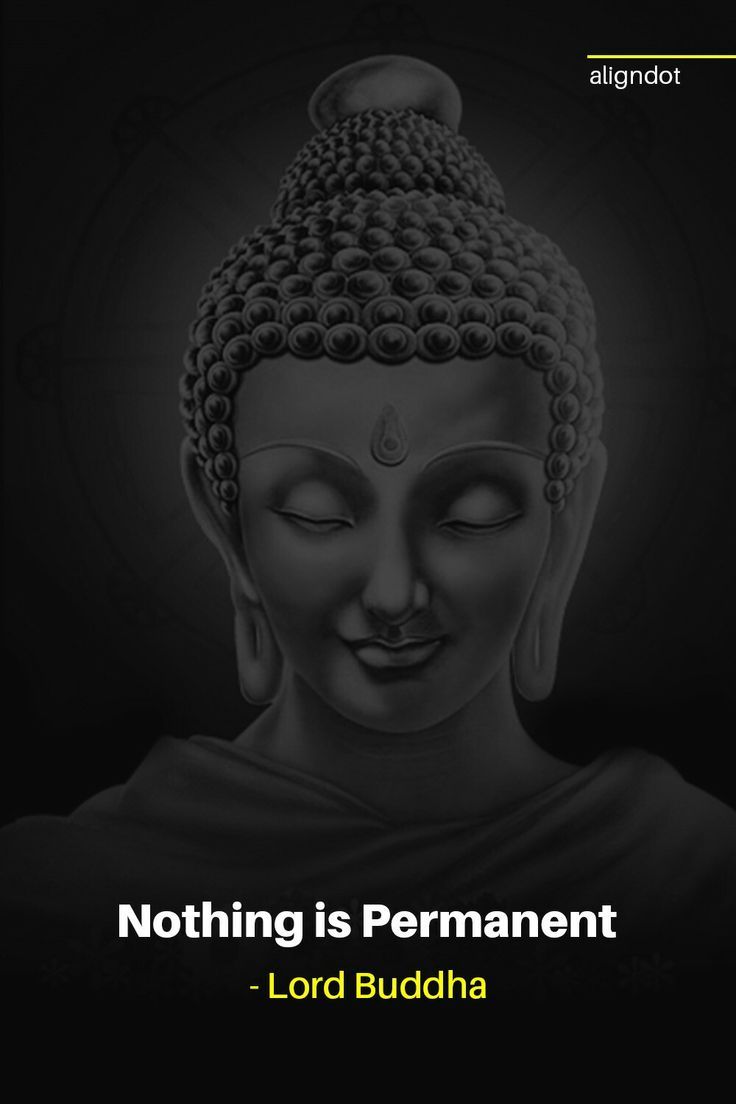 736x1104 Motivation quotes for life