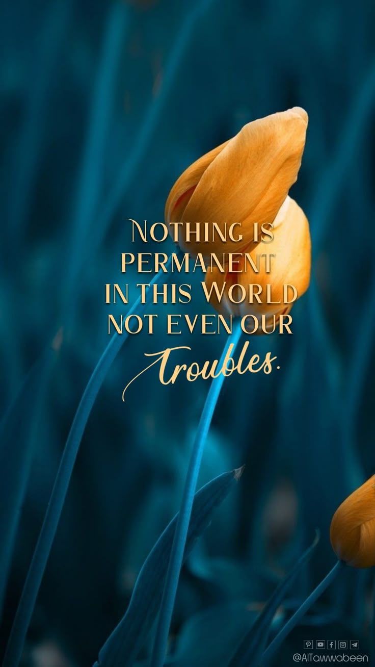 736x1308 Troubles ? Islamic Mobile wallpaper