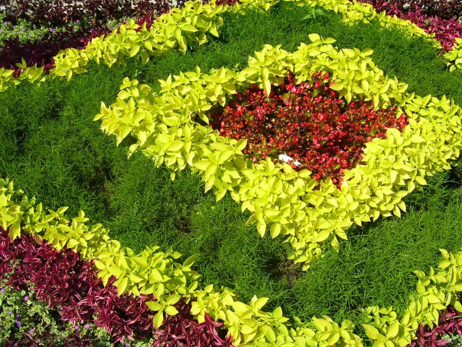 1600x1200 Color Flowers wallpaper. Color Flowers